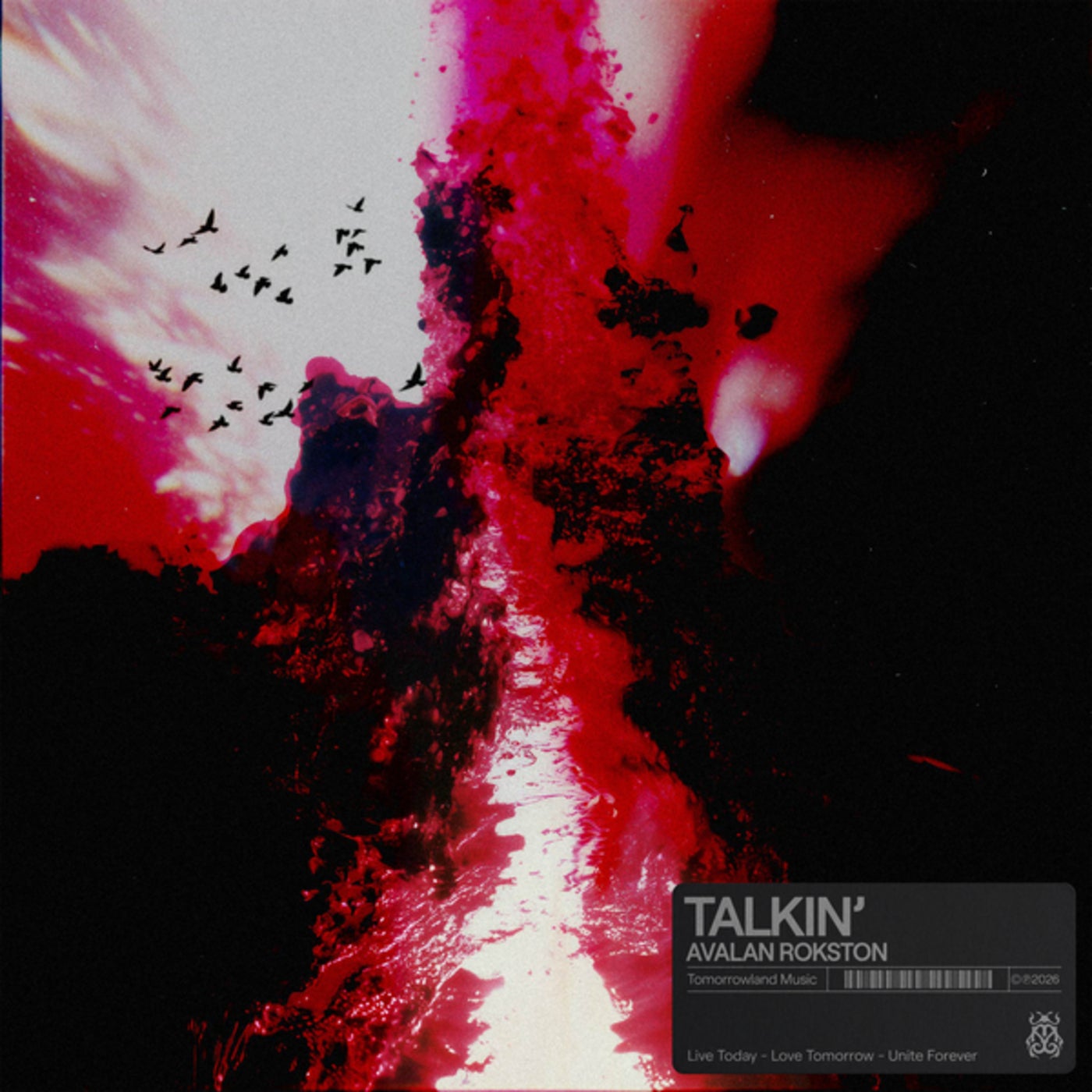 Cover - Rokston, Avalan, AVALAN ROKSTON - Talkin' (Original Mix) Promo tools