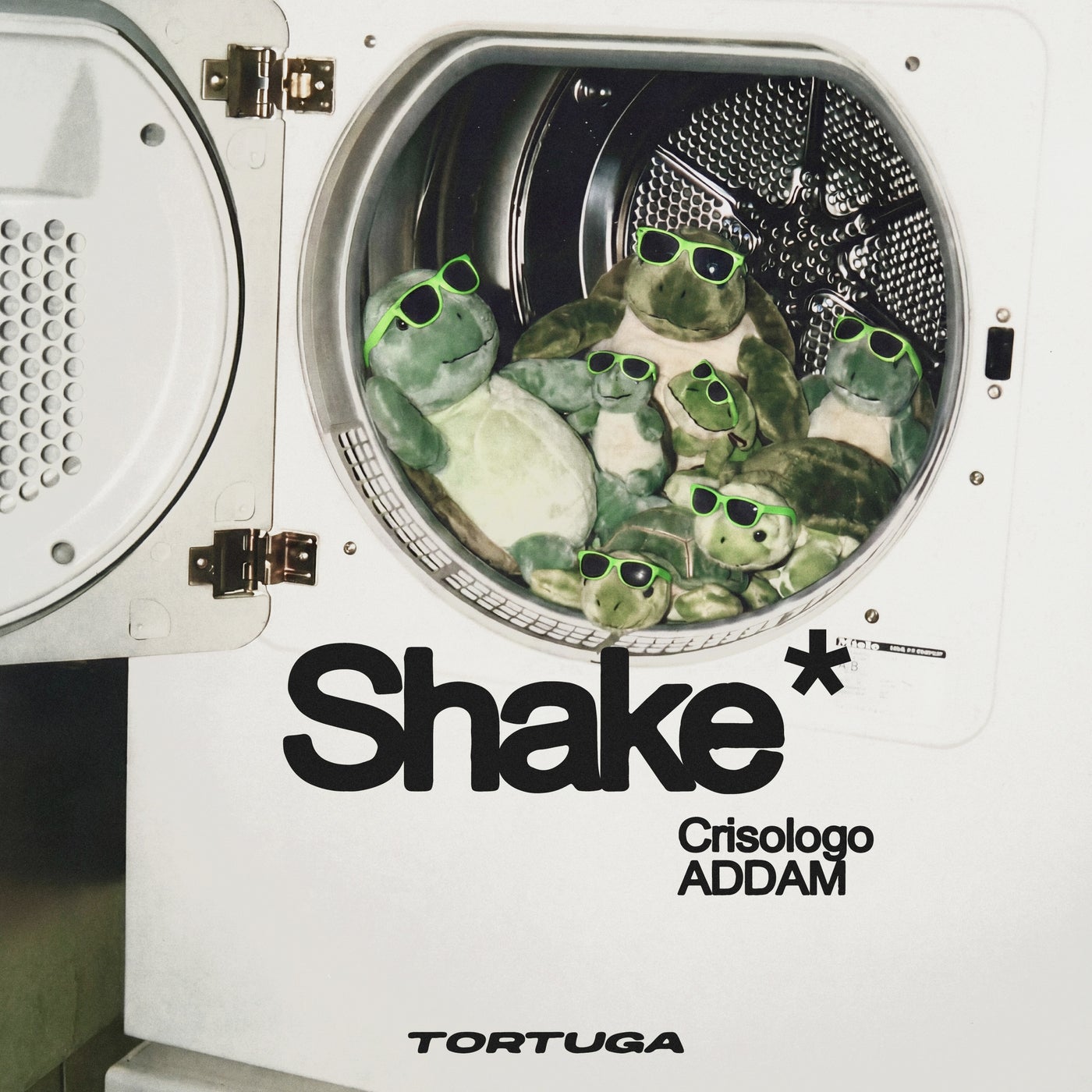 Cover - Crisologo, ADDAM (BE) - Shake (Original Mix) Promo tools