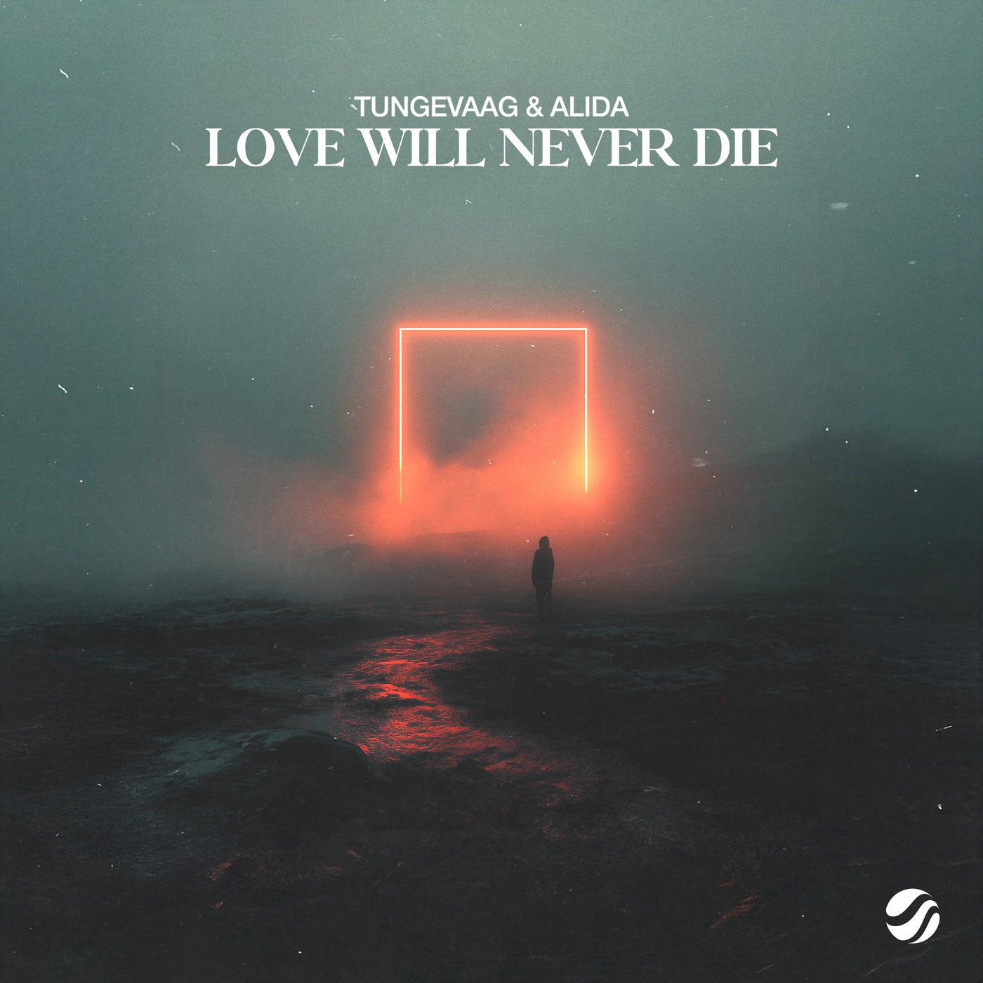 Cover - Alida, Tungevaag - Love Will Never Die (Extended Mix) Promo tools