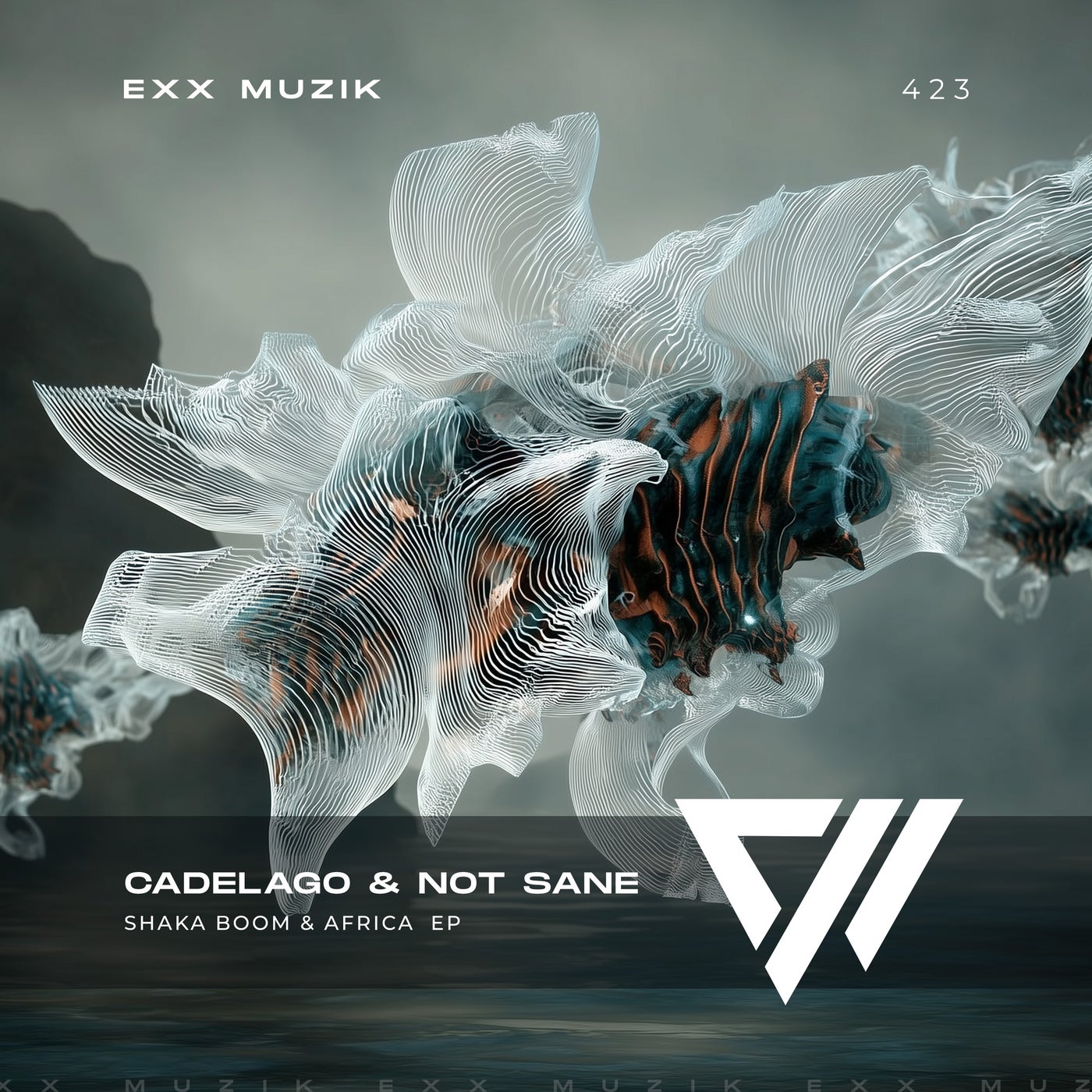 Cover - CADELAGO, NOT SANE - Shaka Boom (Extended Mix) Promo tools