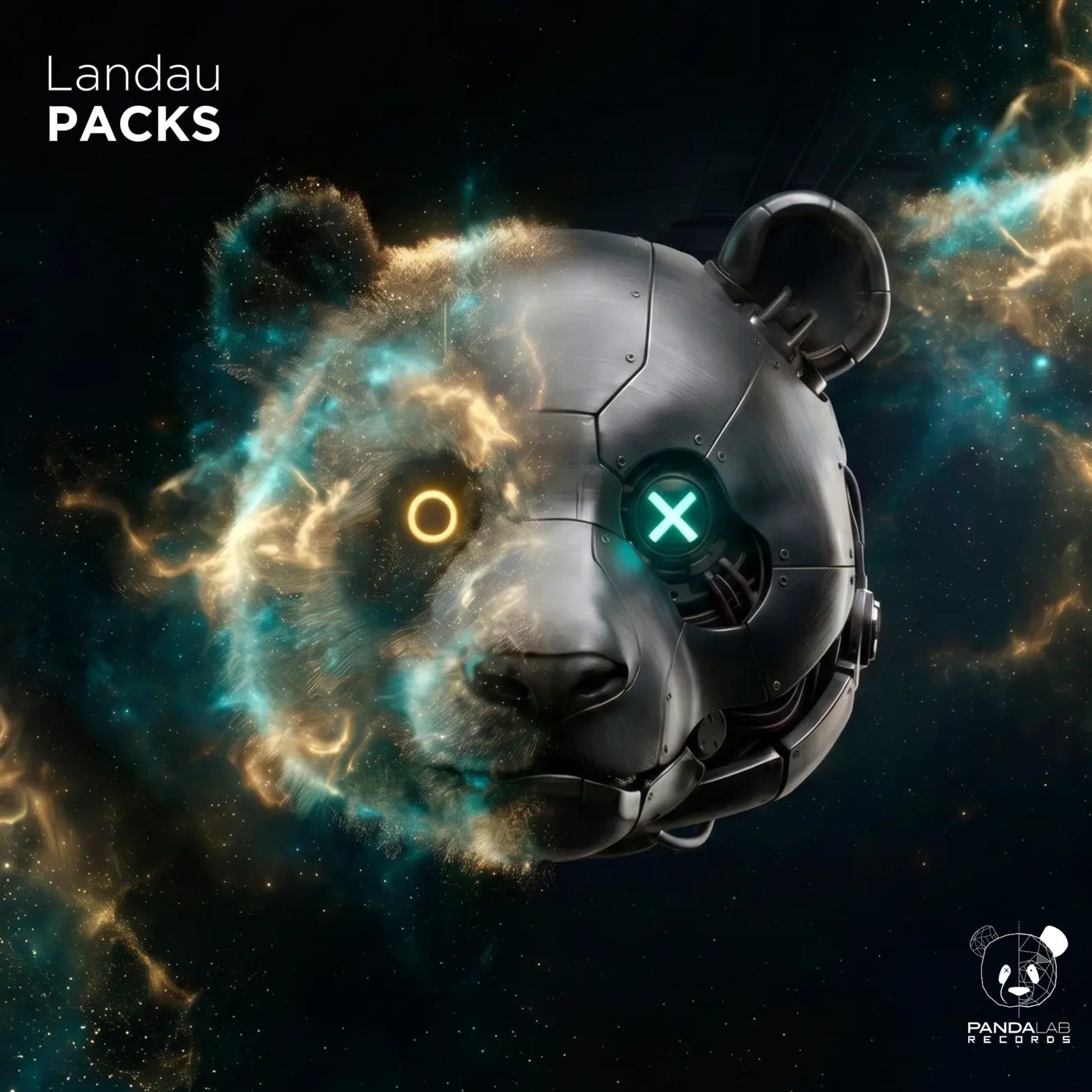Cover - Landau, DIZET - Flashback (Extended Mix) Promo tools