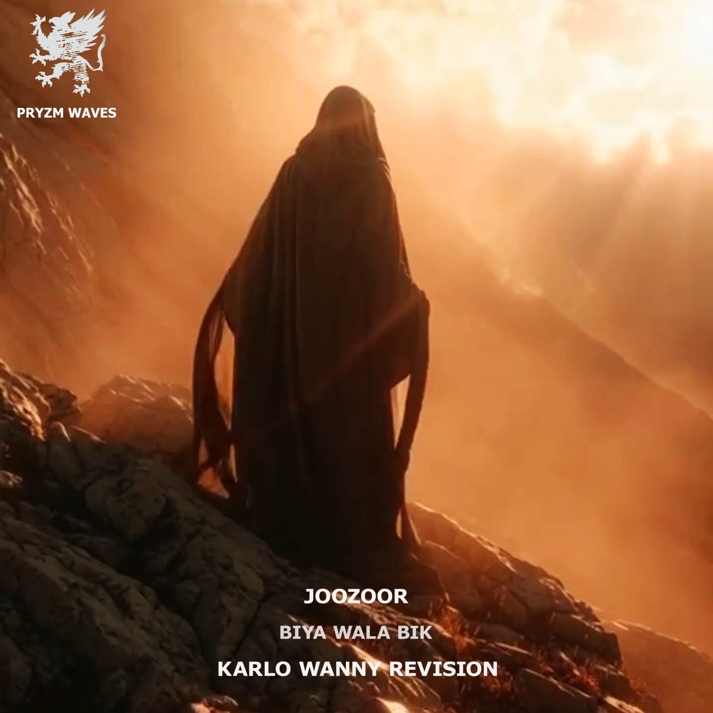 Cover - Karlo Wanny, Joozoor - Biya Wala Bik (Karlo Wanny Revision) Promo tools