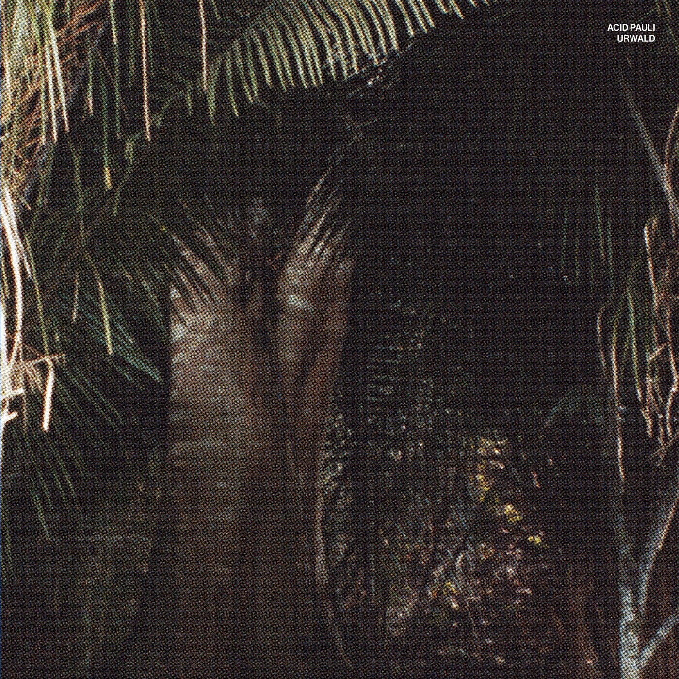Cover - Acid Pauli - Urwald (Original Mix) Promo tools