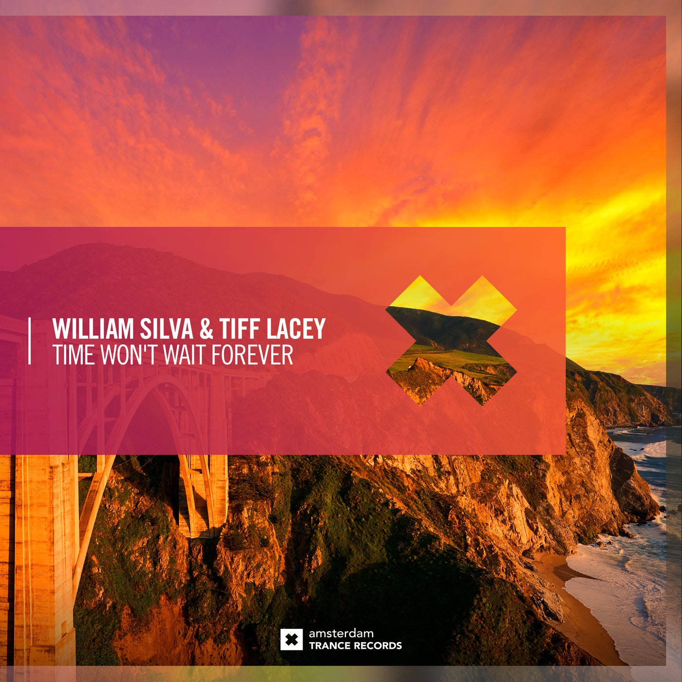 Cover - Tiff Lacey, William Silva - Time Won't Wait Forever (Extended Mix) Promo tools