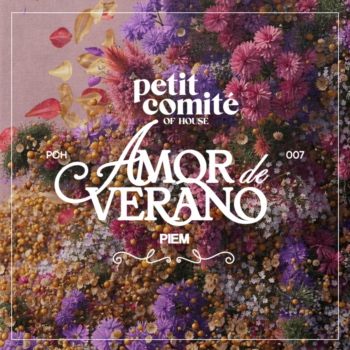 Cover - Piem - Shin Groove (Original Mix) Promo tools