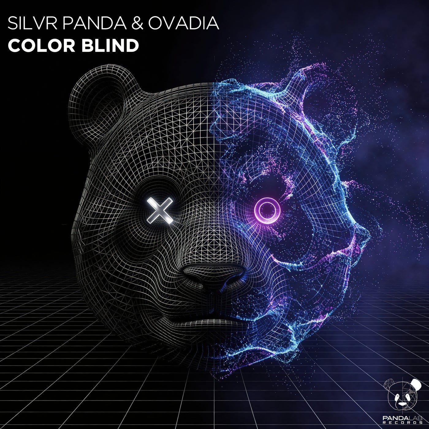 Cover - Silver Panda, Ovadia - Color Blind (Extended Mix) Promo tools