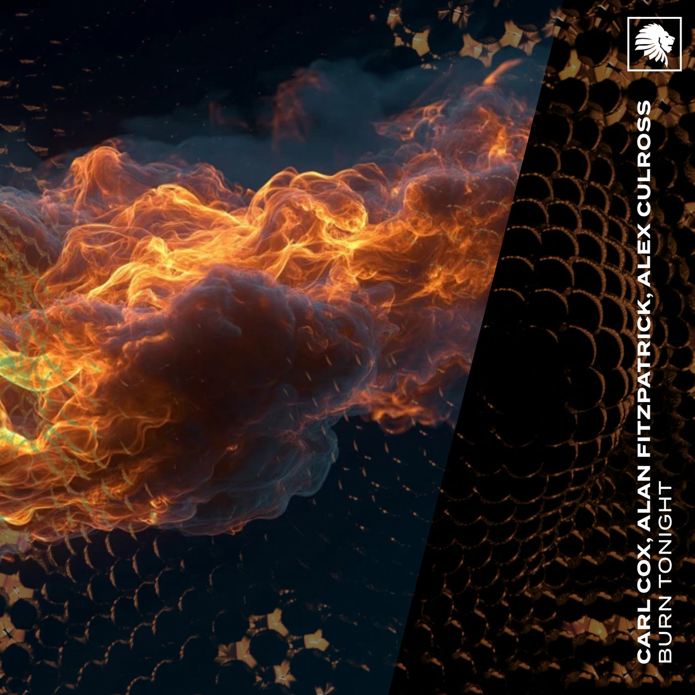 Cover - Carl Cox, Alan Fitzpatrick, Alex Culross - Burn Tonight (Extended Mix) Promo tools