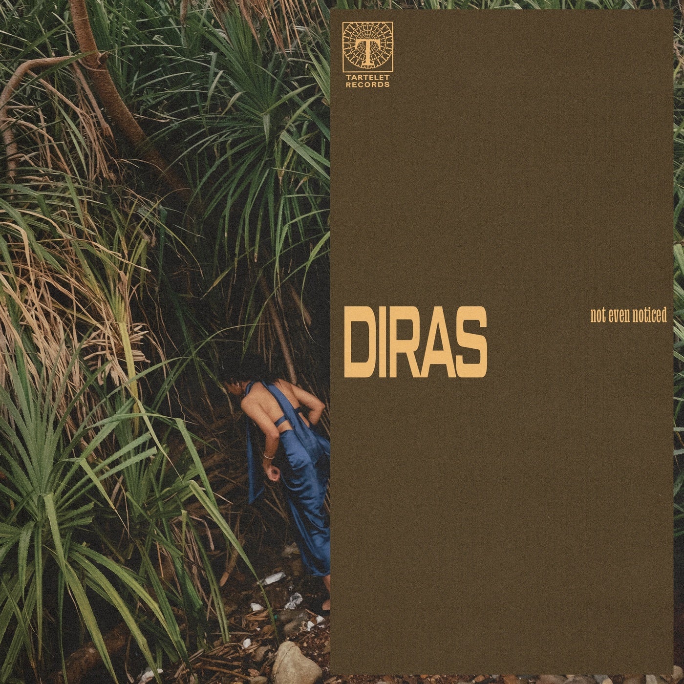 Cover - not even noticed - diras (Original Mix) Promo tools