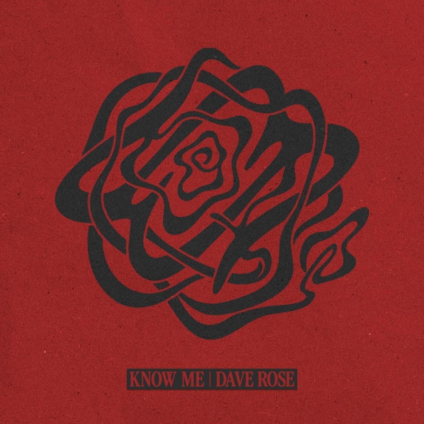 Cover - Dave Rose - Know Me (Original Mix) Promo tools