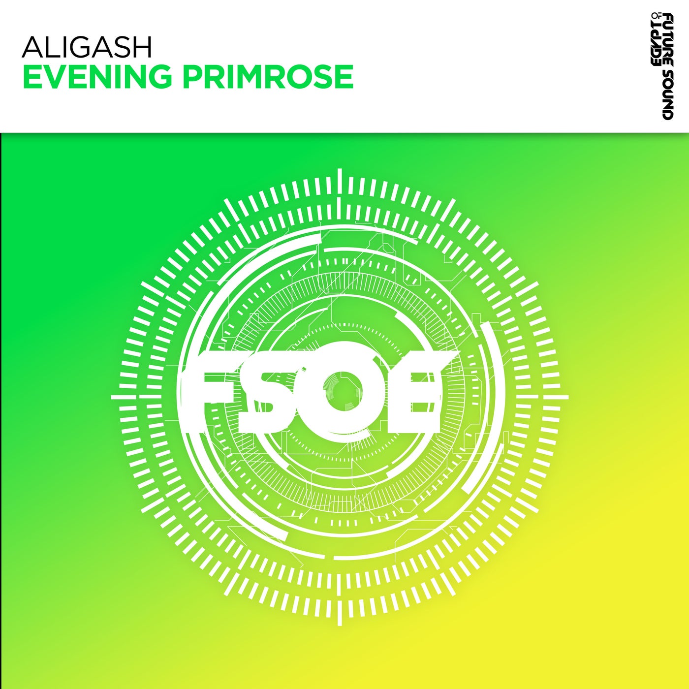 Cover - ALIGASH - Evening Primrose (Extended Mix) Promo tools