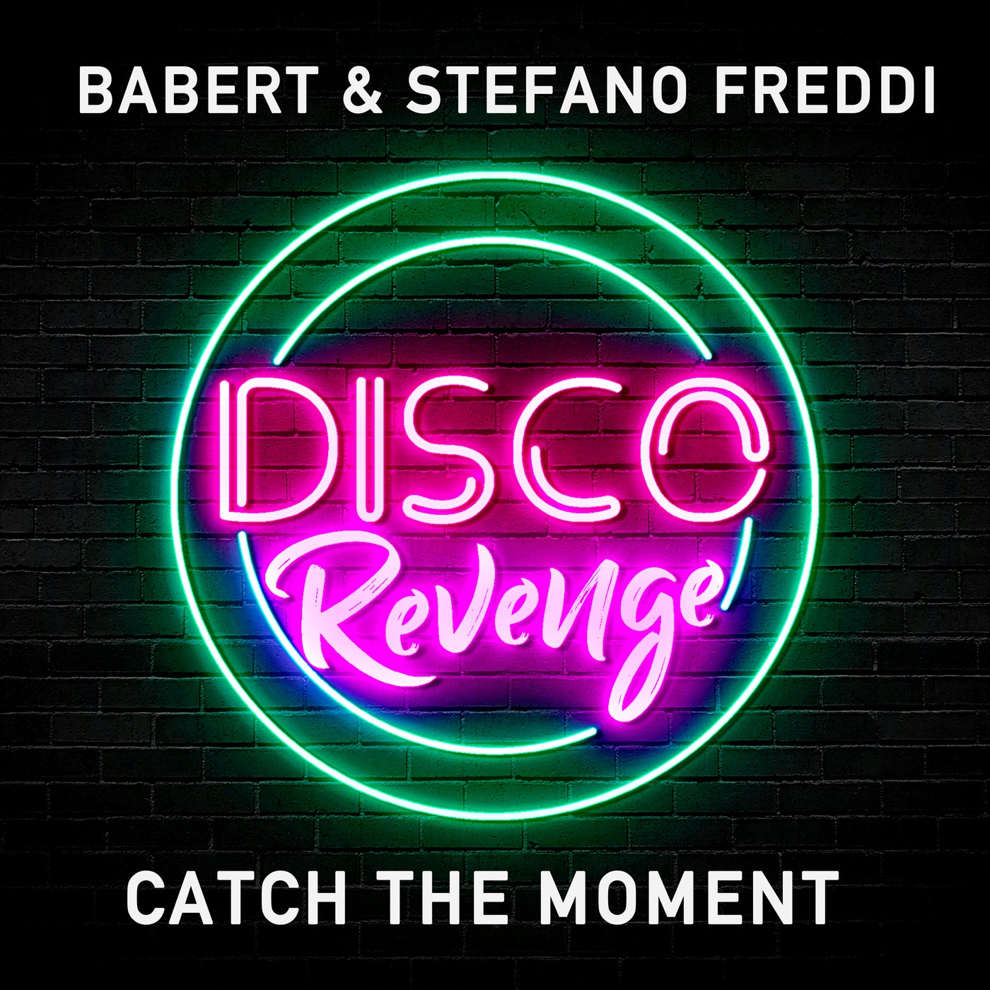 Cover - Babert, STEFANO FREDDI - Catch the Moment (Original Mix) Promo tools