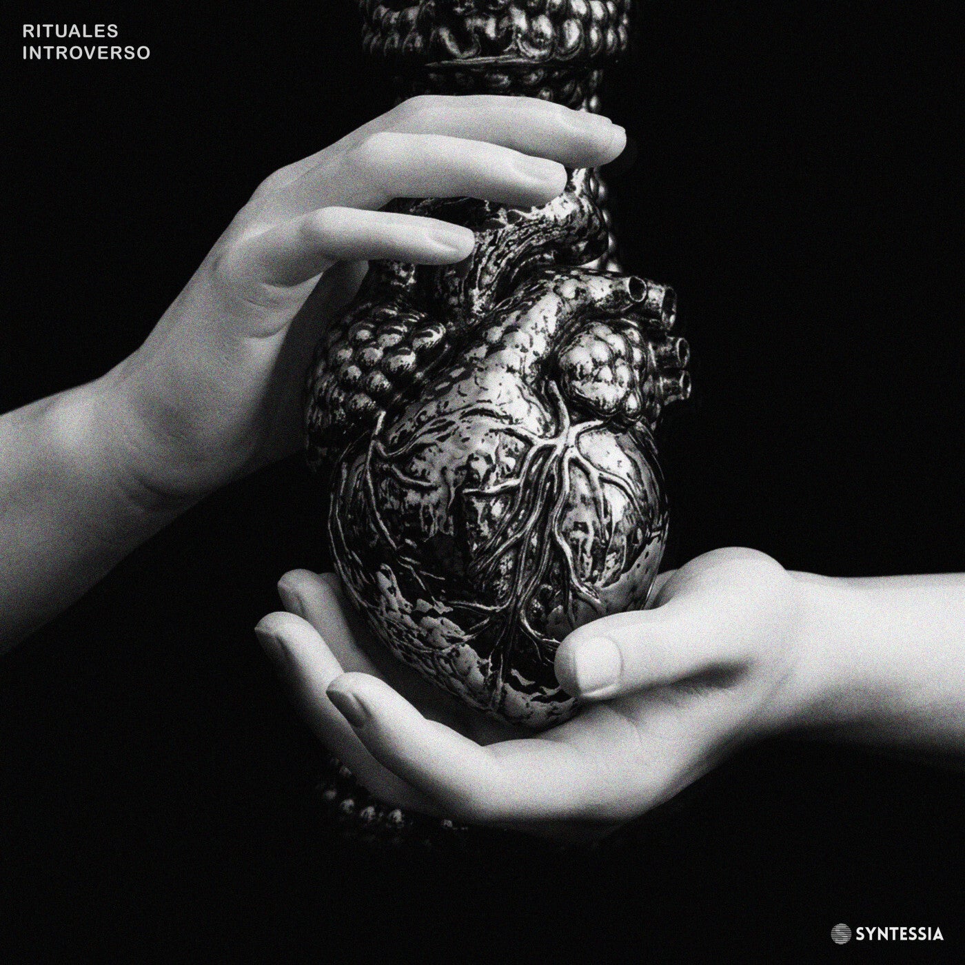 Cover - Introverso - Rituales (Original Mix) Promo tools