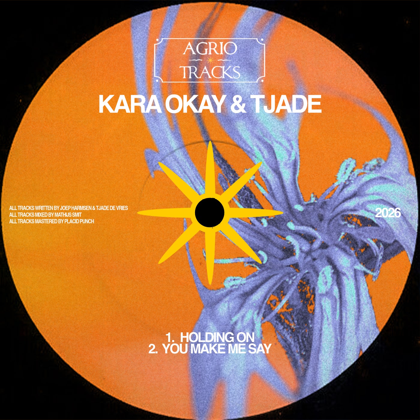 Cover - Tjade, Kara Okay - Holding On (Original Mix) Promo tools