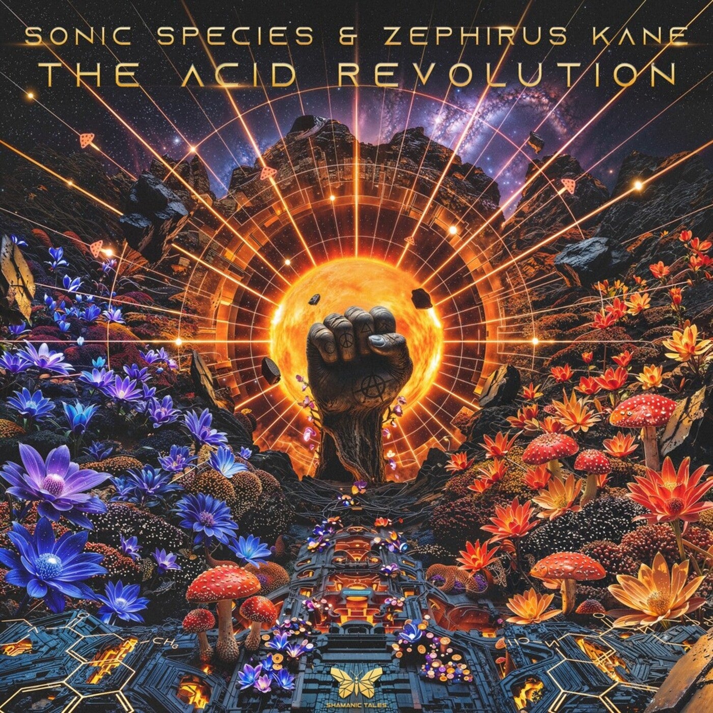 Cover - Sonic Species, Zephirus Kane - The Acid Revolution (Original Mix) Promo tools