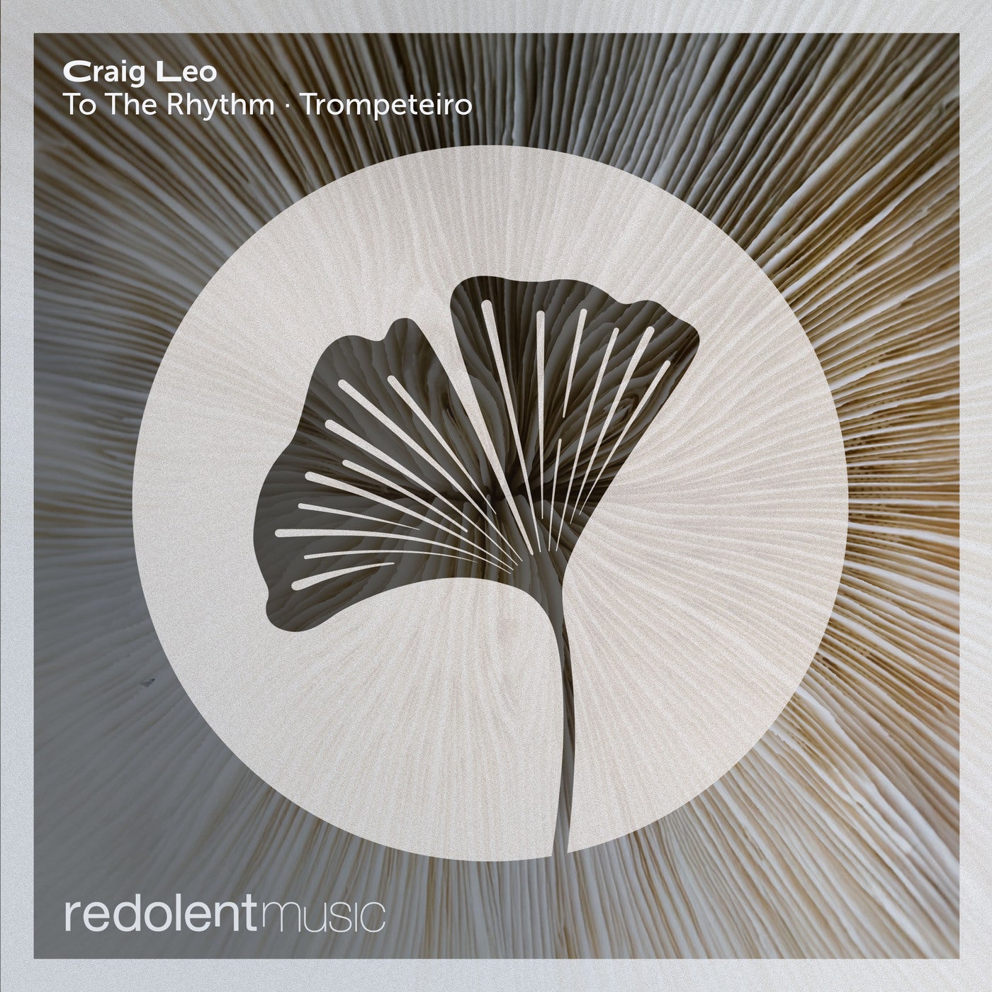Cover - Craig Leo - To The Rhythm (Original Mix) Promo tools