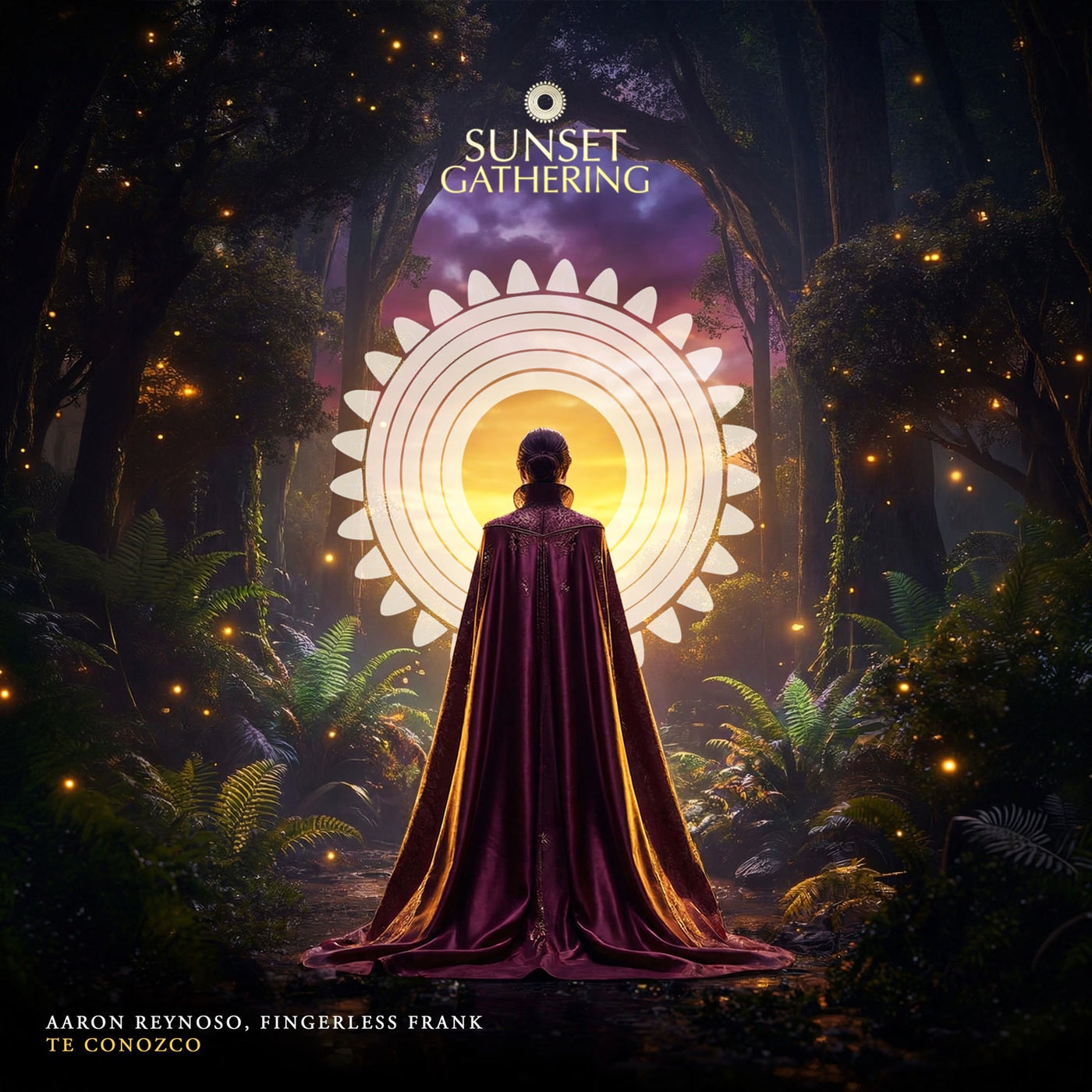 Cover - Aaron Reynoso, Fingerless Frank - Te conozco (Original Mix) Promo tools