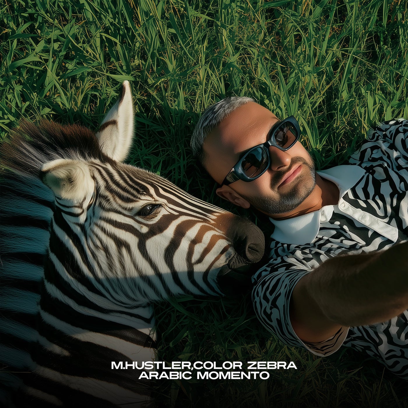 Cover - M.Hustler, Color Zebra - Arabic Momento (Extended Mix) Promo tools