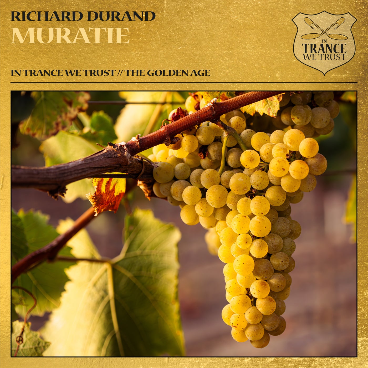 Cover - Richard Durand - Muratie (Extended Mix) Promo tools