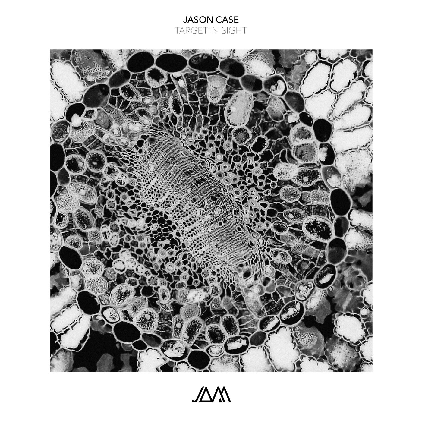Cover - Jason Case - Temporal Rift (Original Mix) Promo tools