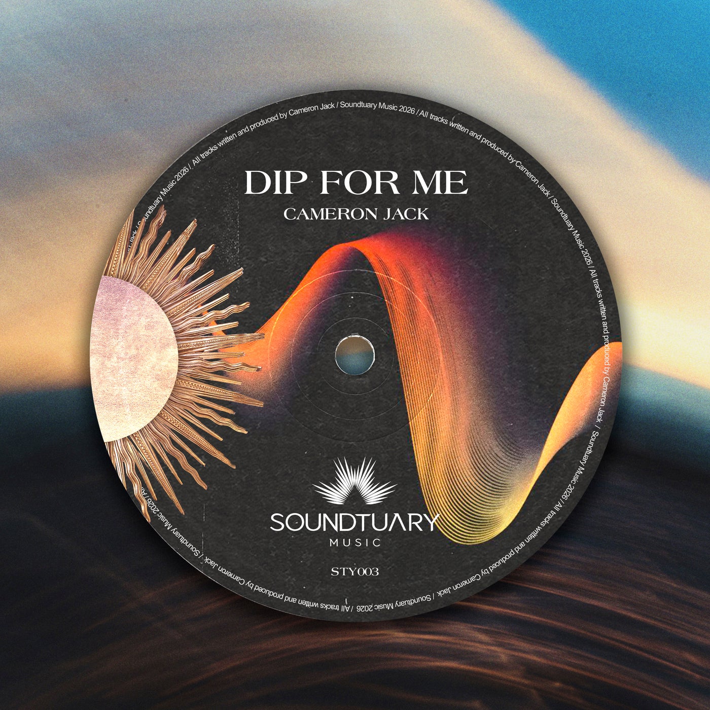 Cover - Cameron Jack - Dip For Me (Extended Mix) Promo tools