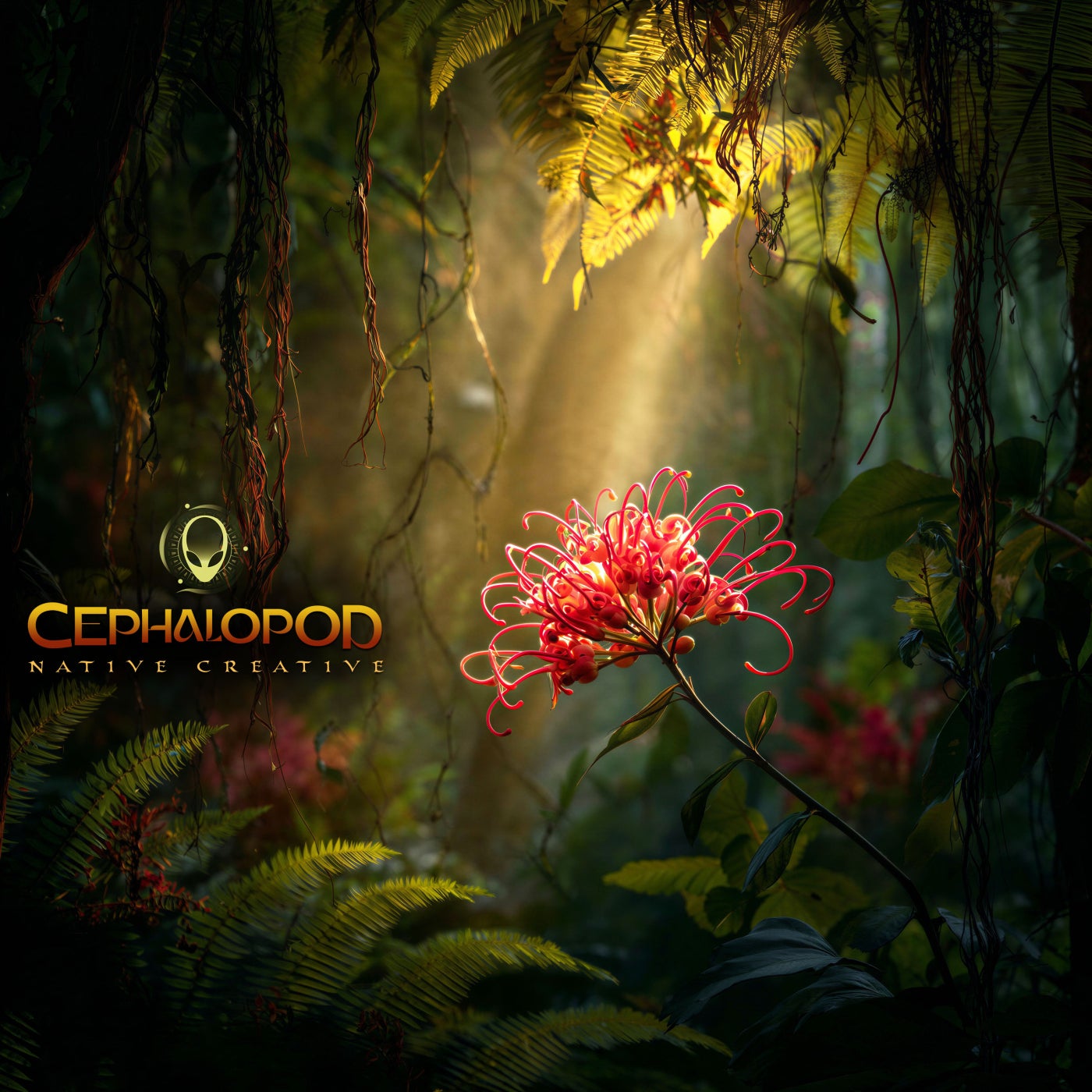 Cover - Cephalopod - Path Less Travelled (Original Mix) Promo tools