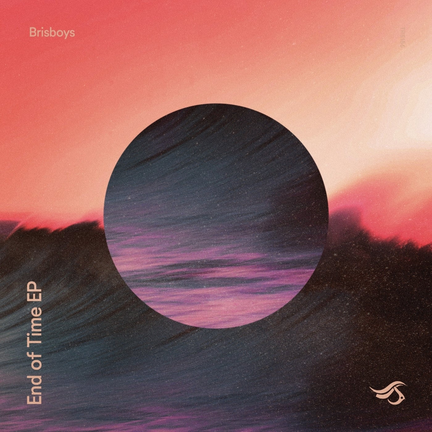 Cover - Brisboys - In the Beginning (Extended Mix) Promo tools