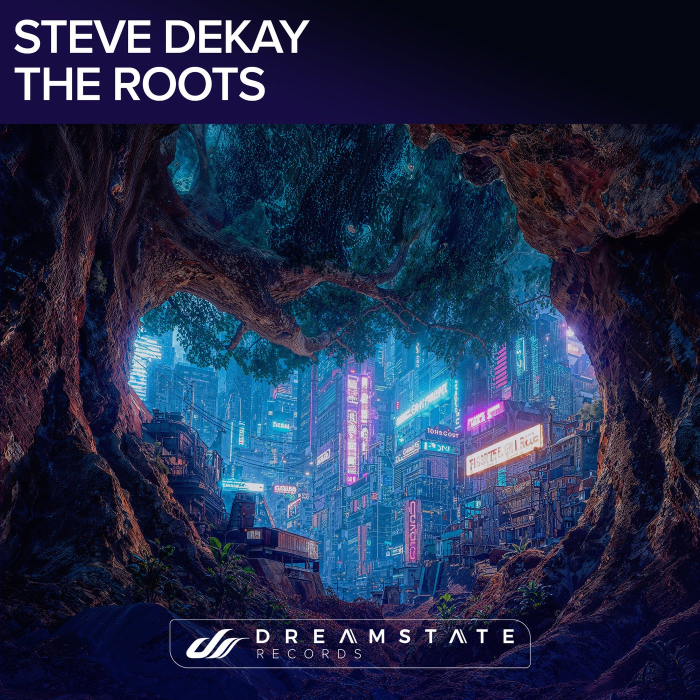 Cover - Steve Dekay - The Roots (Extended Mix) Promo tools