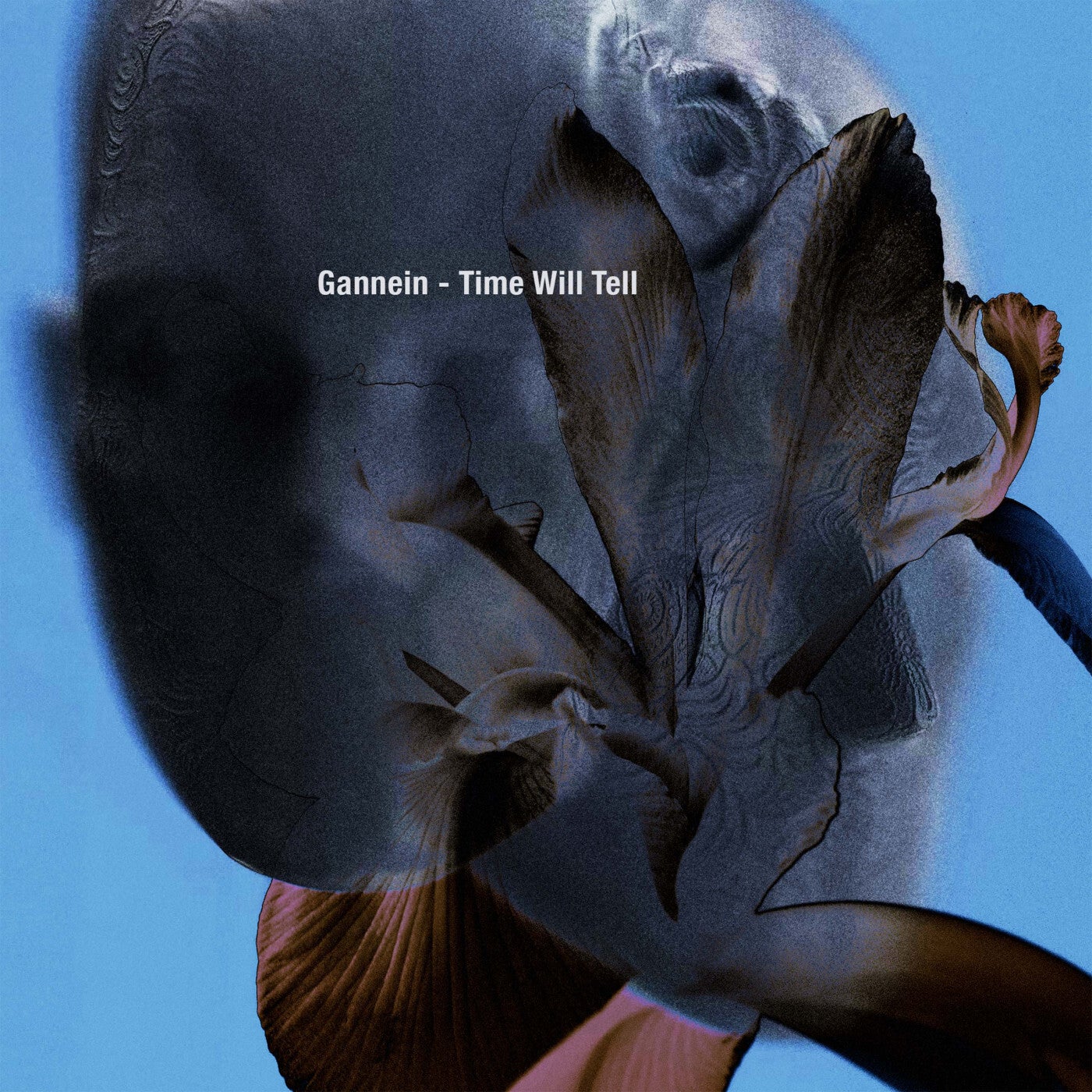 Cover - Gannein - Time Will Tell (Original Mix) Promo tools