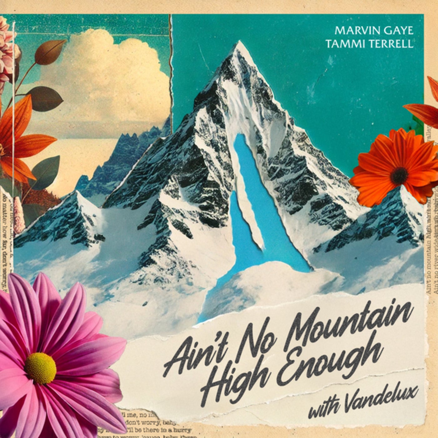 Cover - Marvin Gaye, Tammi Terrell, Vandelux - Ain't No Mountain High Enough (Club Edit) Promo tools