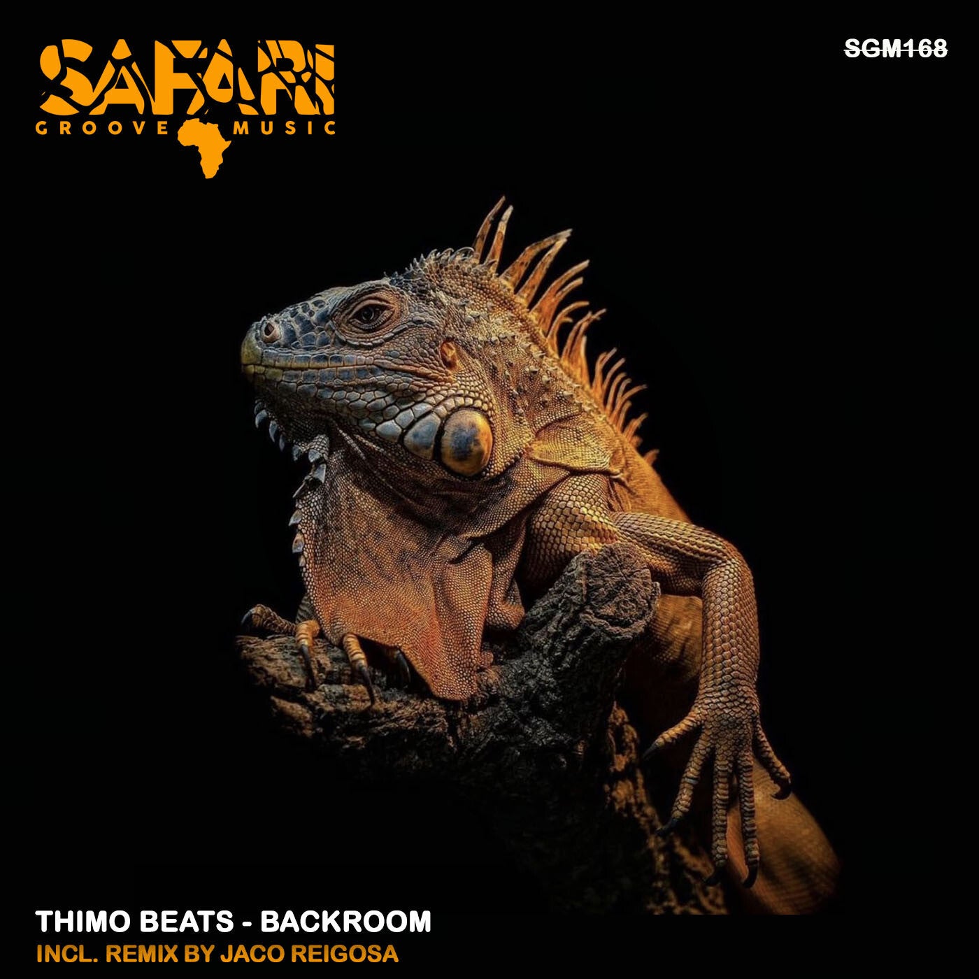Cover - Thimo Beats - Backroom (Original Mix) Promo tools