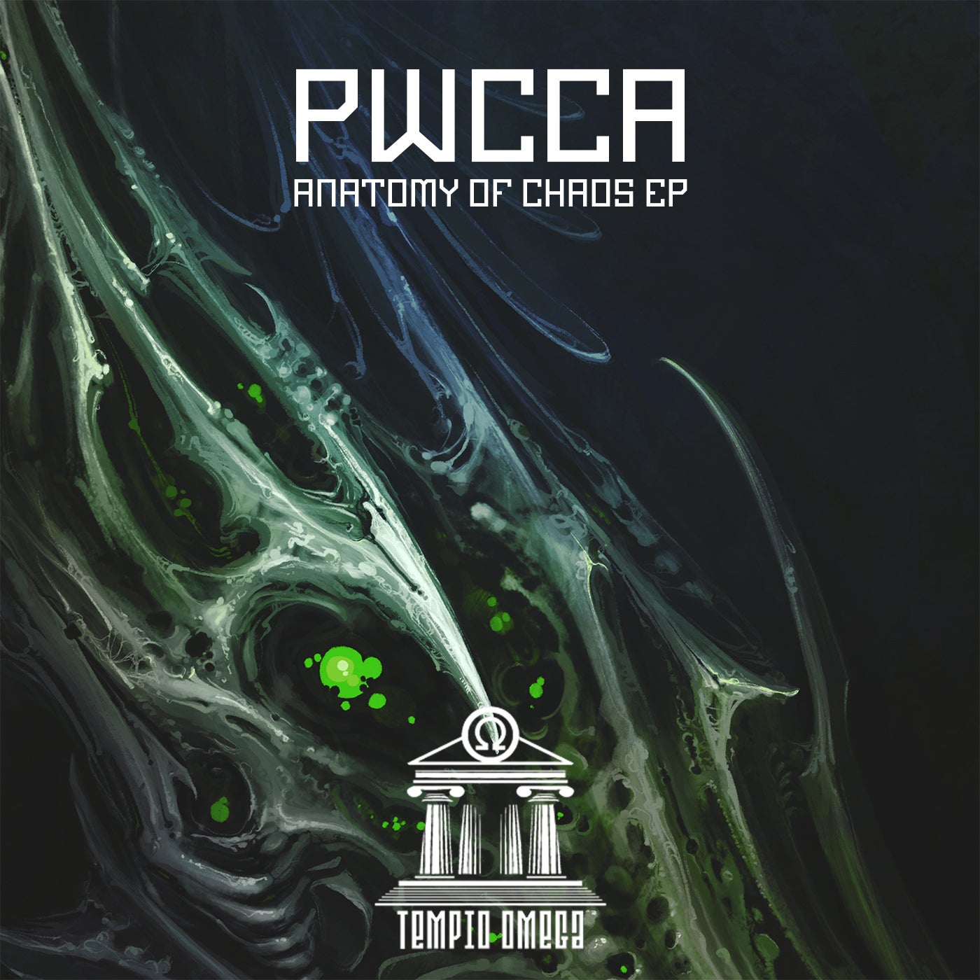 Cover - PWCCA - Anatomy of chaos (Original Mix) Promo tools