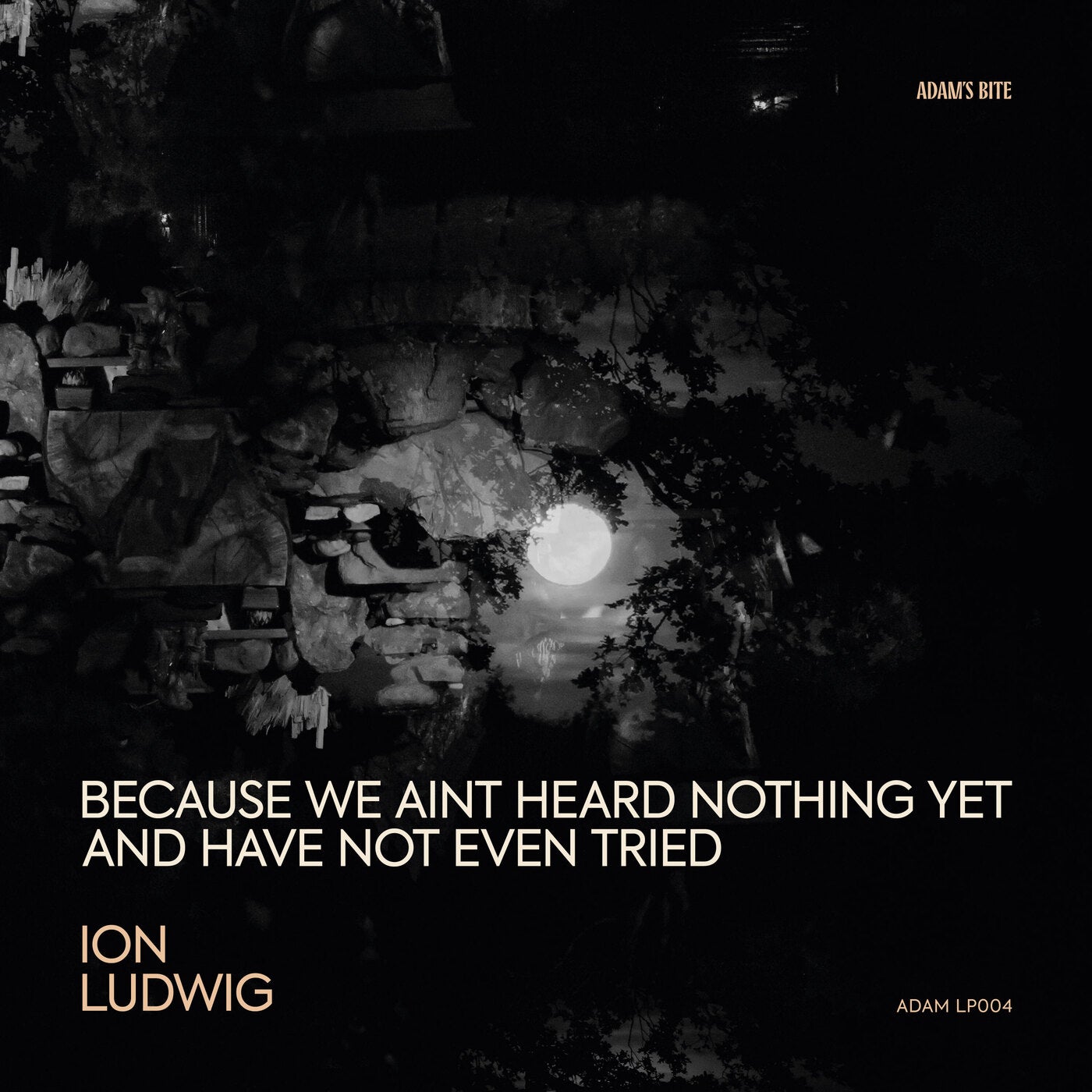 Cover - Ion Ludwig - Practice All Their Life (Original Mix) Promo tools
