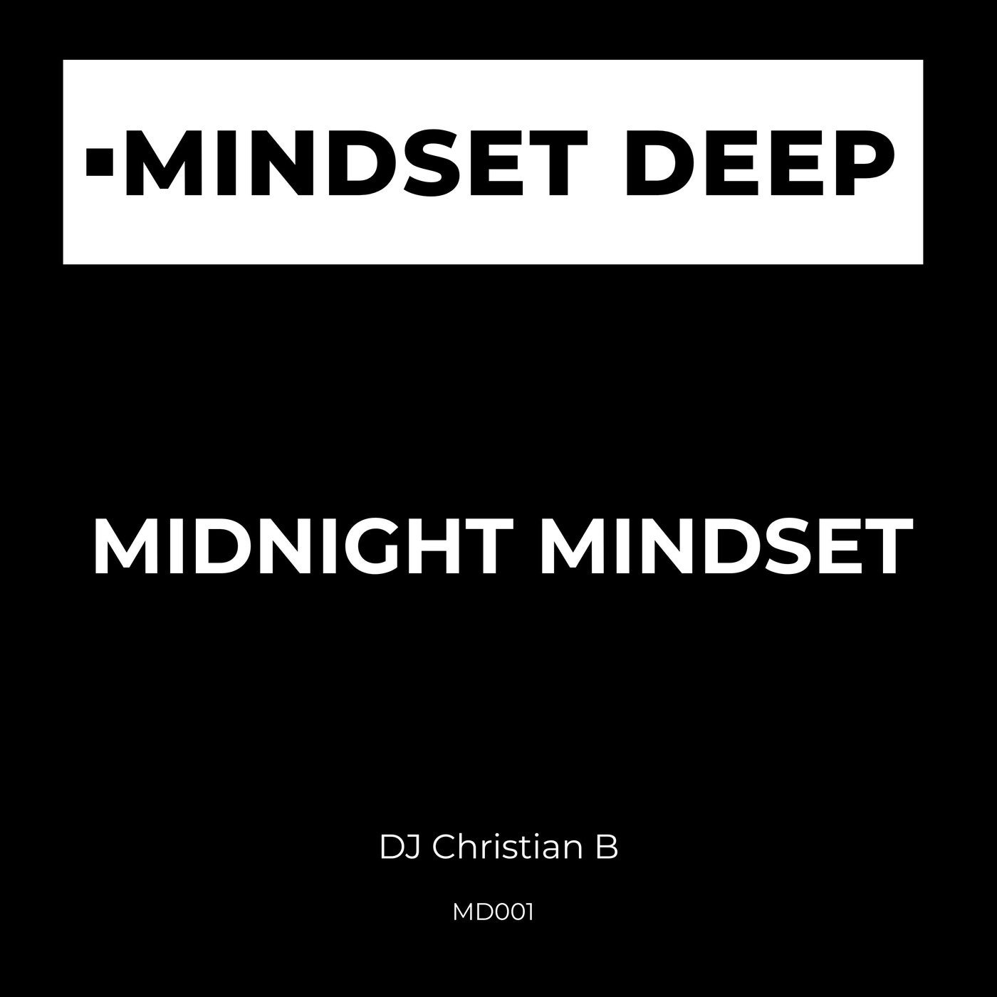 Cover - DJ Christian B - The Times (Original Mix) Promo tools