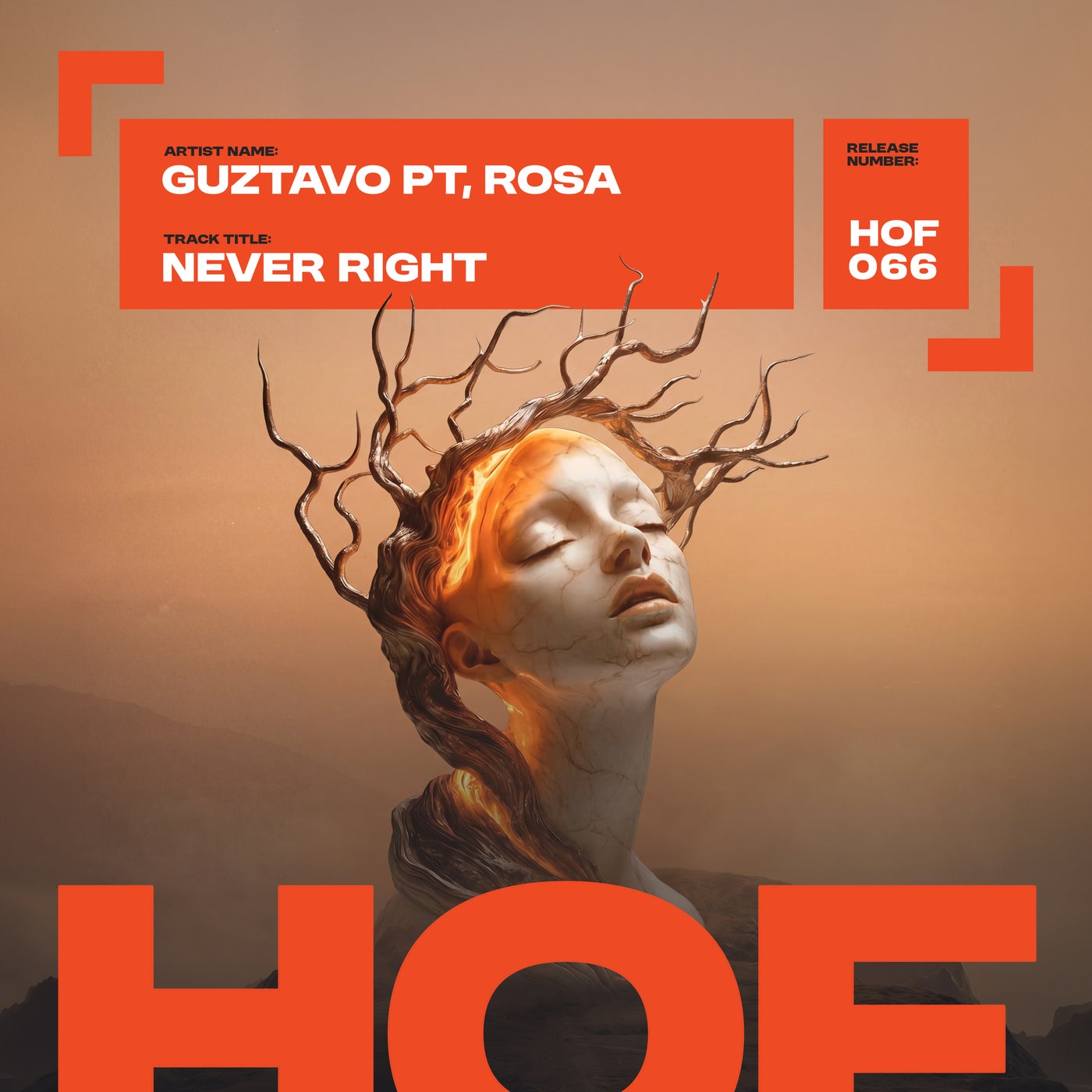 Cover - Guztavo PT, Røsa (PT) - Never Right (Original Mix) Promo tools