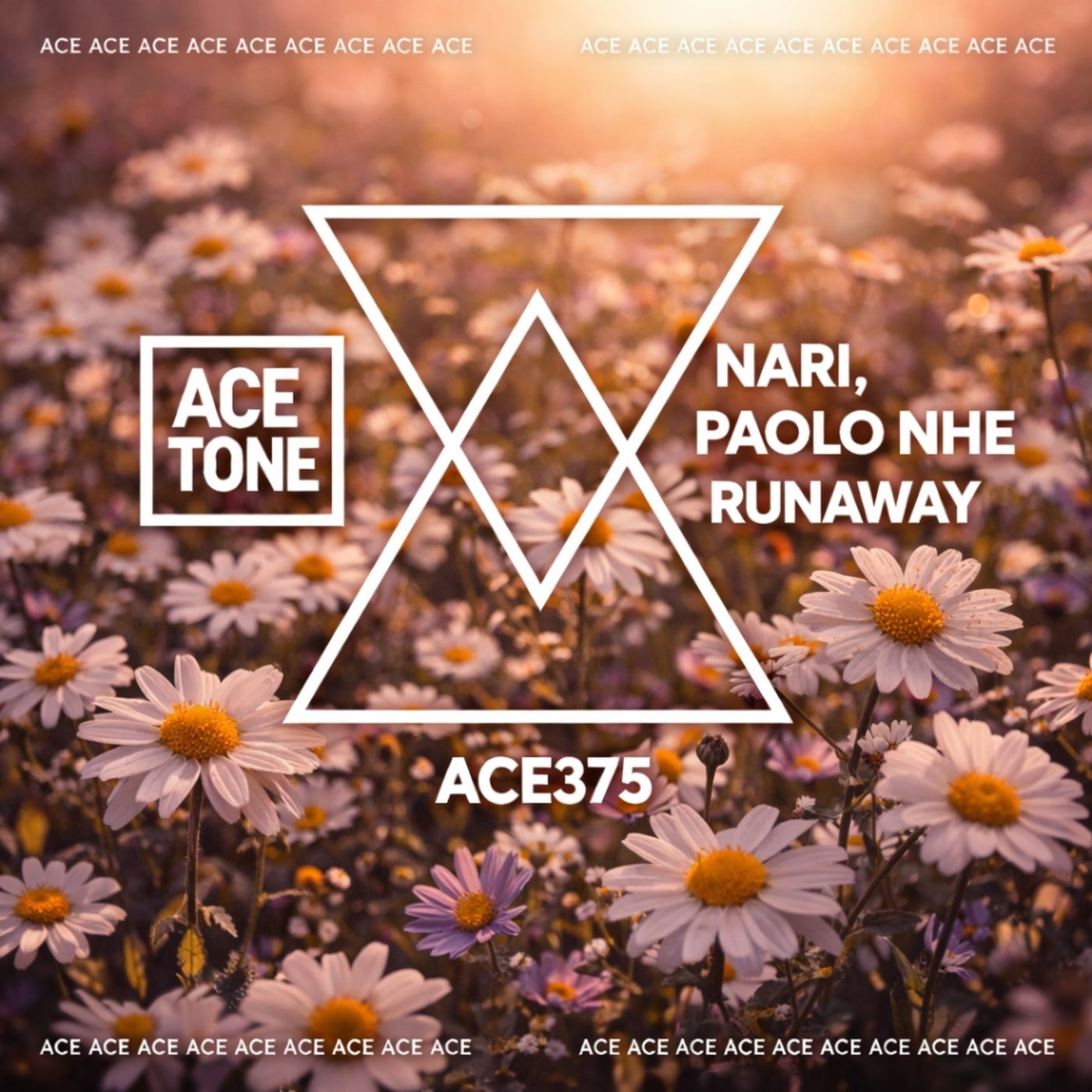 Cover - Nari, Paolo nhe - Runaway (Original Mix) Promo tools