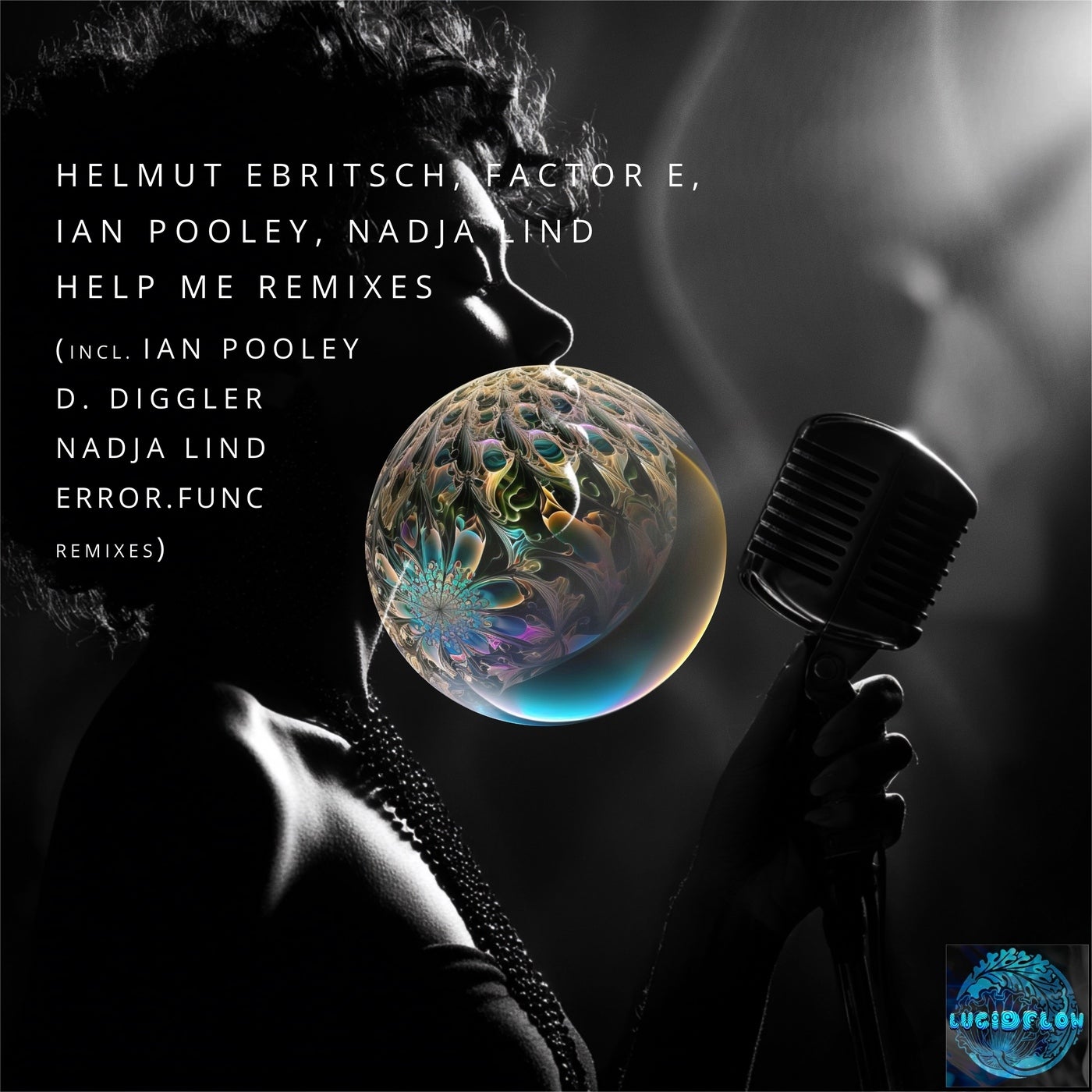 Cover - D. Diggler, Helmut Ebritsch, Factor E - Help Me (D. Diggler Remix) Promo tools