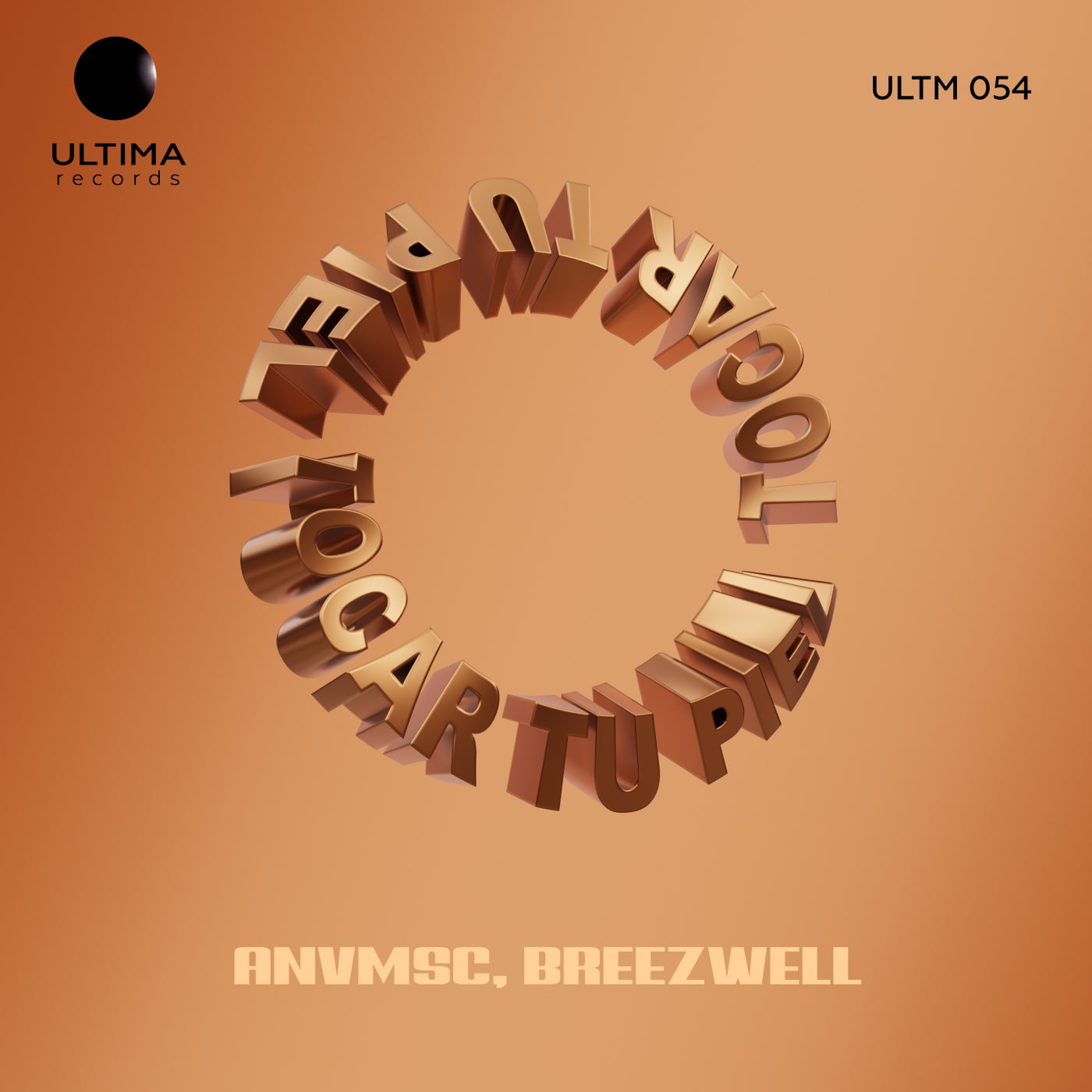 Cover - Breezwell, anvmsc - Tocar Tu Piel (Original Mix) Promo tools