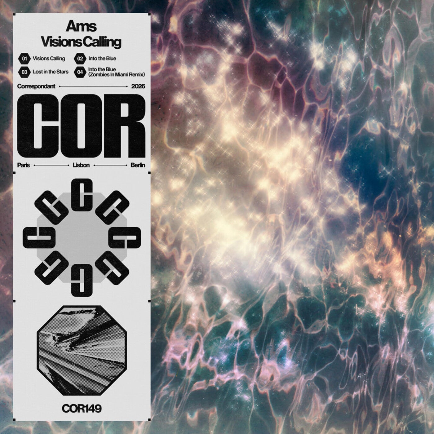 Cover - Ams. - Into the Blue (Zombies In Miami Remix) Promo tools
