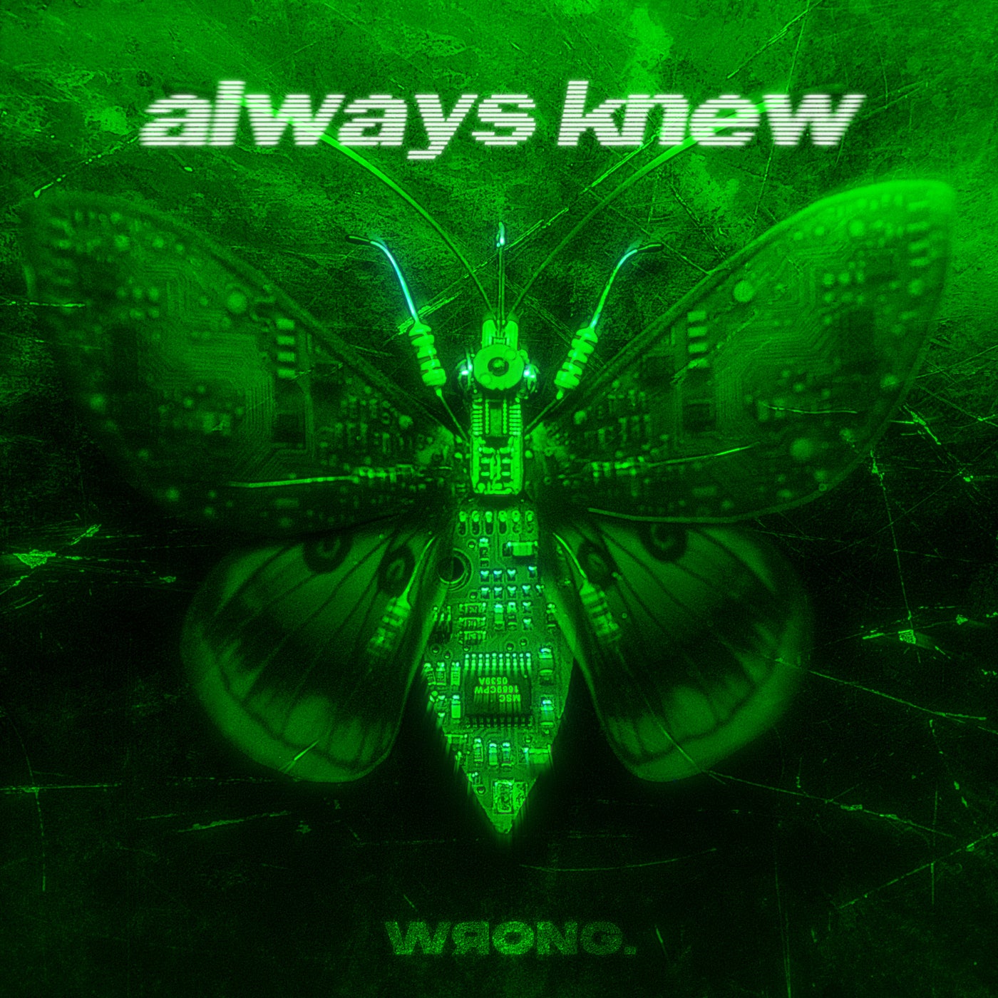 Cover - Biscits, Aya Anne - always knew (Extended Mix) Promo tools