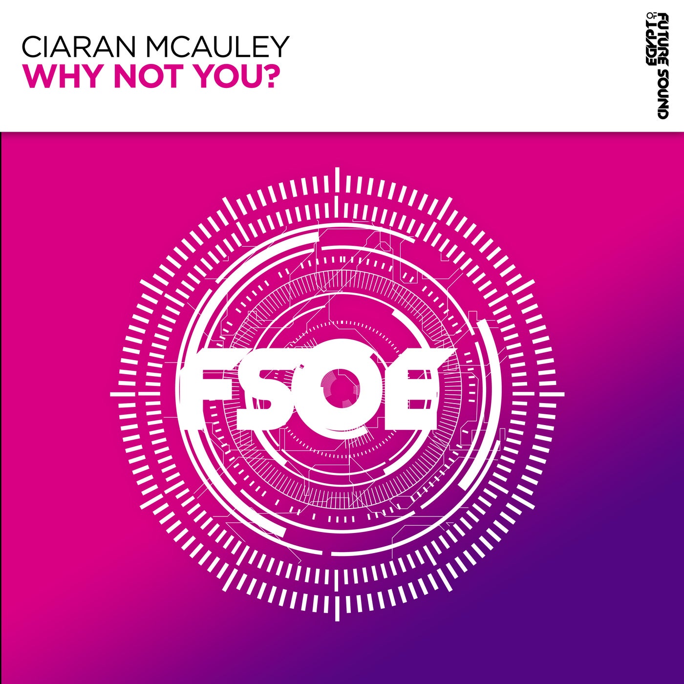 Cover - Ciaran McAuley - Why Not You? (Extended Mix) Promo tools