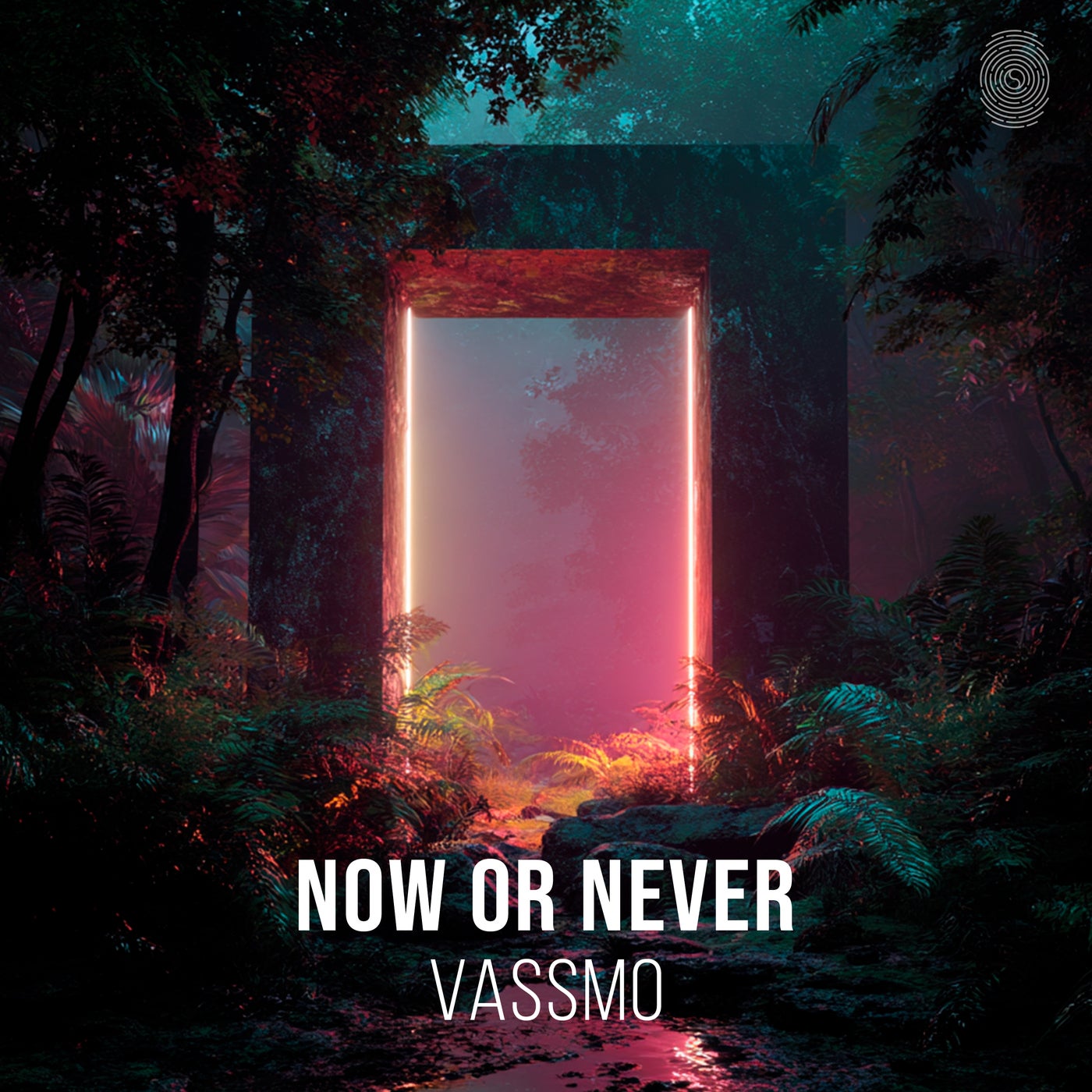 Cover - Vassmo - Now Or Never (Extended Mix) Promo tools