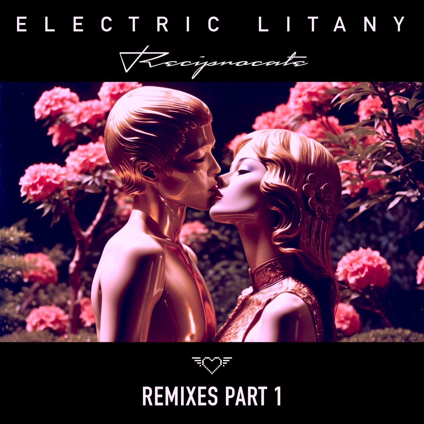 Cover - Electric Litany - Reciprocate (Roy Rosenfeld Remix) Promo tools