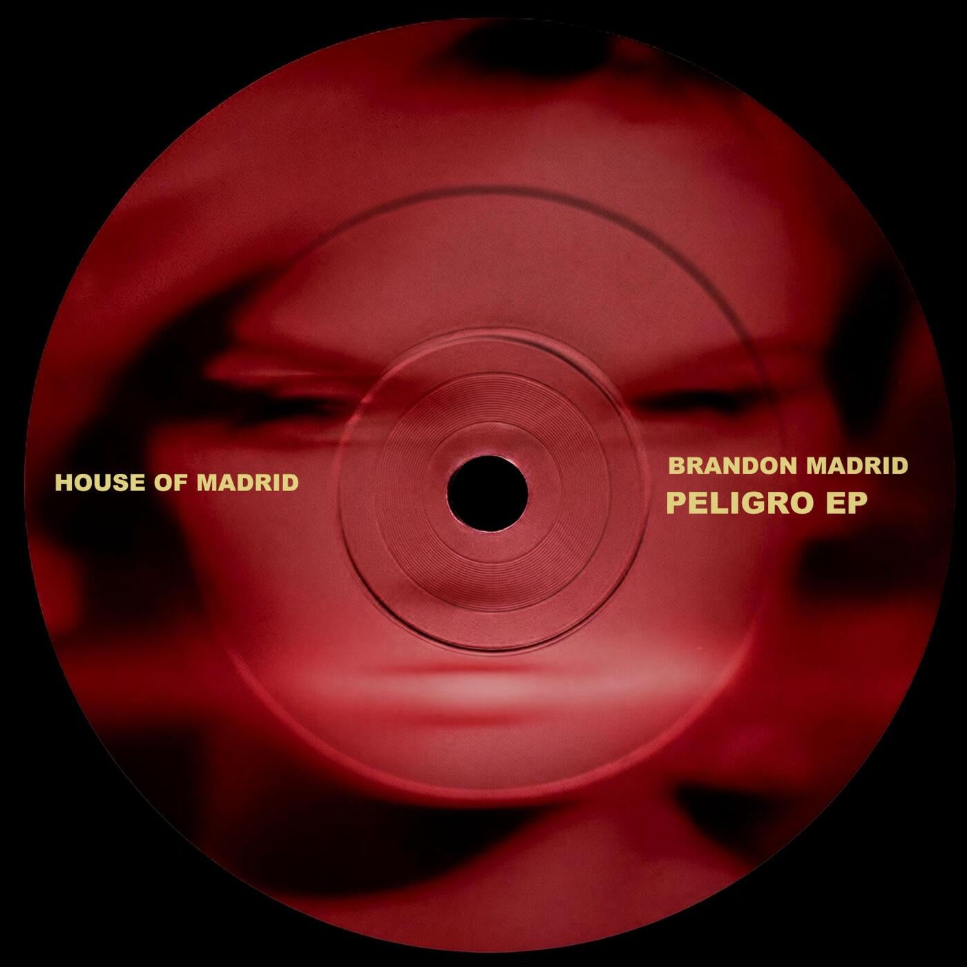 Cover - Brandon Madrid - Peligro (Original Mix) Promo tools
