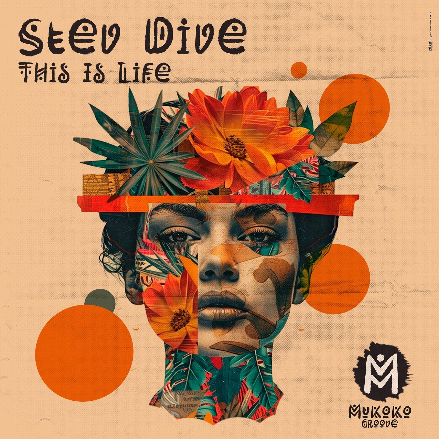 Cover - Stev Dive - This Is Life (Extended Mix) Promo tools