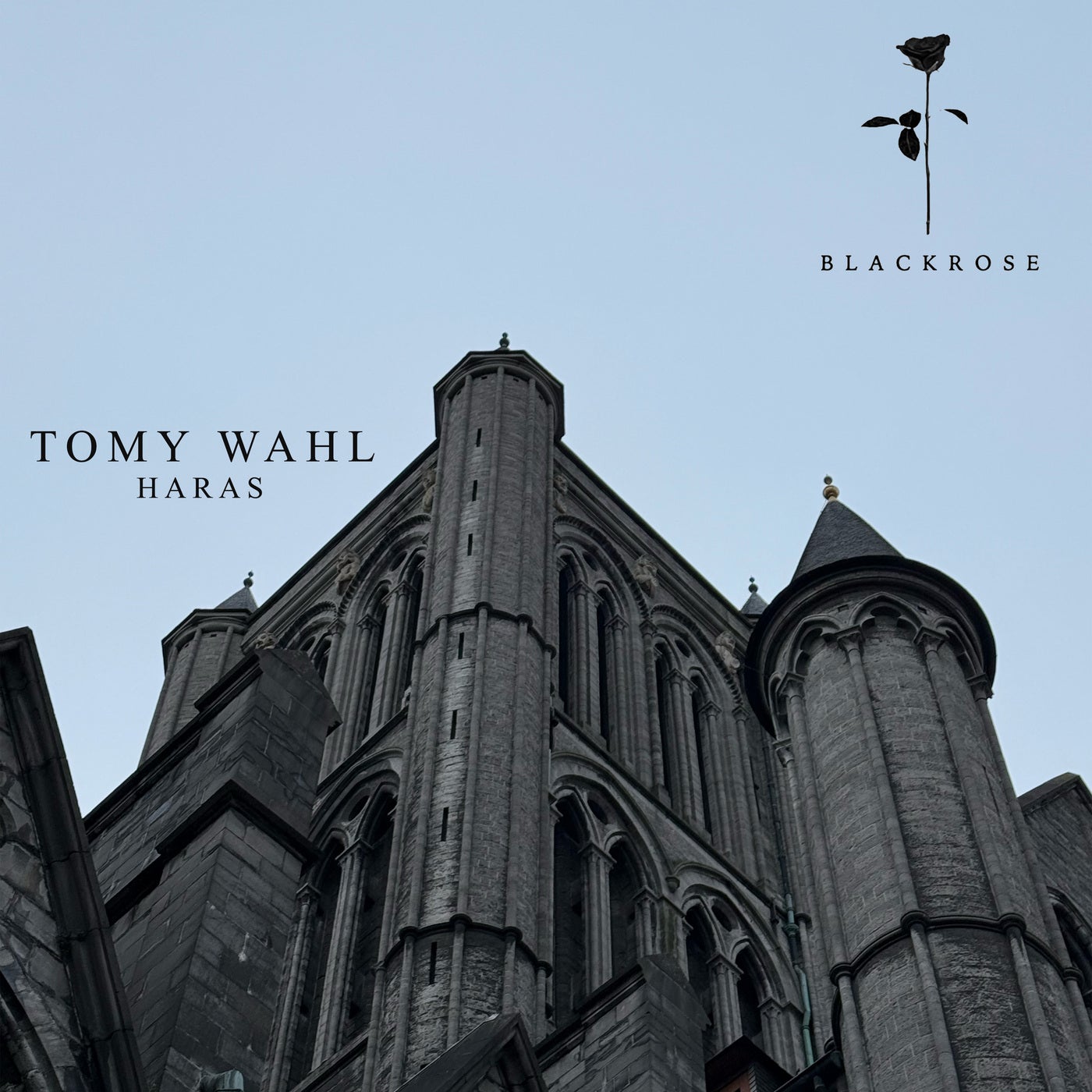 Cover - Tomy Wahl - Feral Instinct (Original Mix) Promo tools