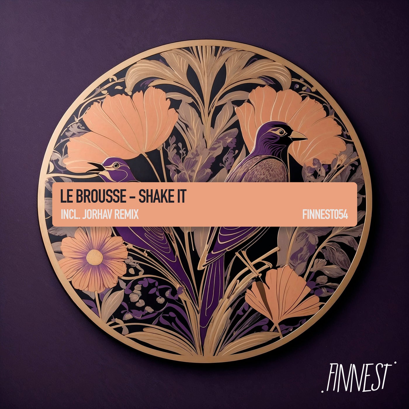 Cover - Le Brousse - Shake It (Jorhav Remix) Promo tools