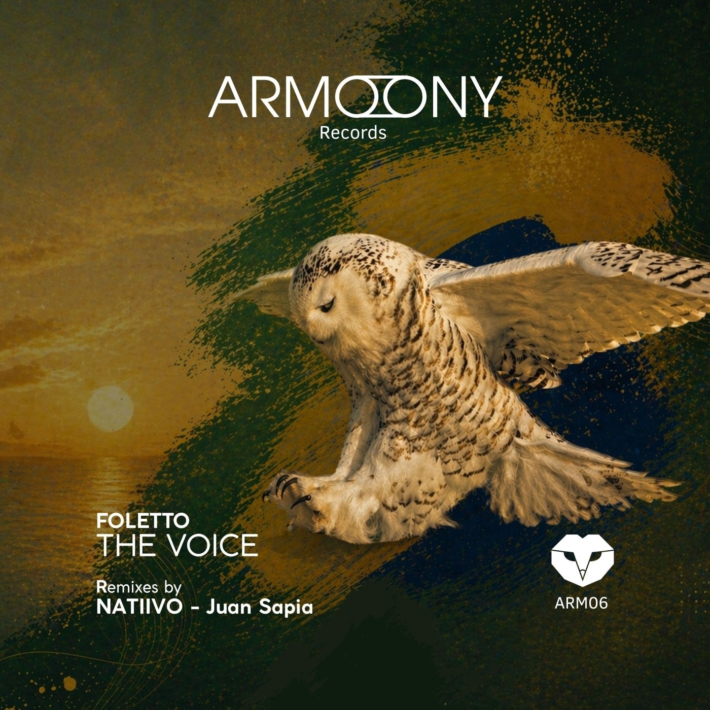 Cover - Foletto - The Voice (Original Mix) Promo tools