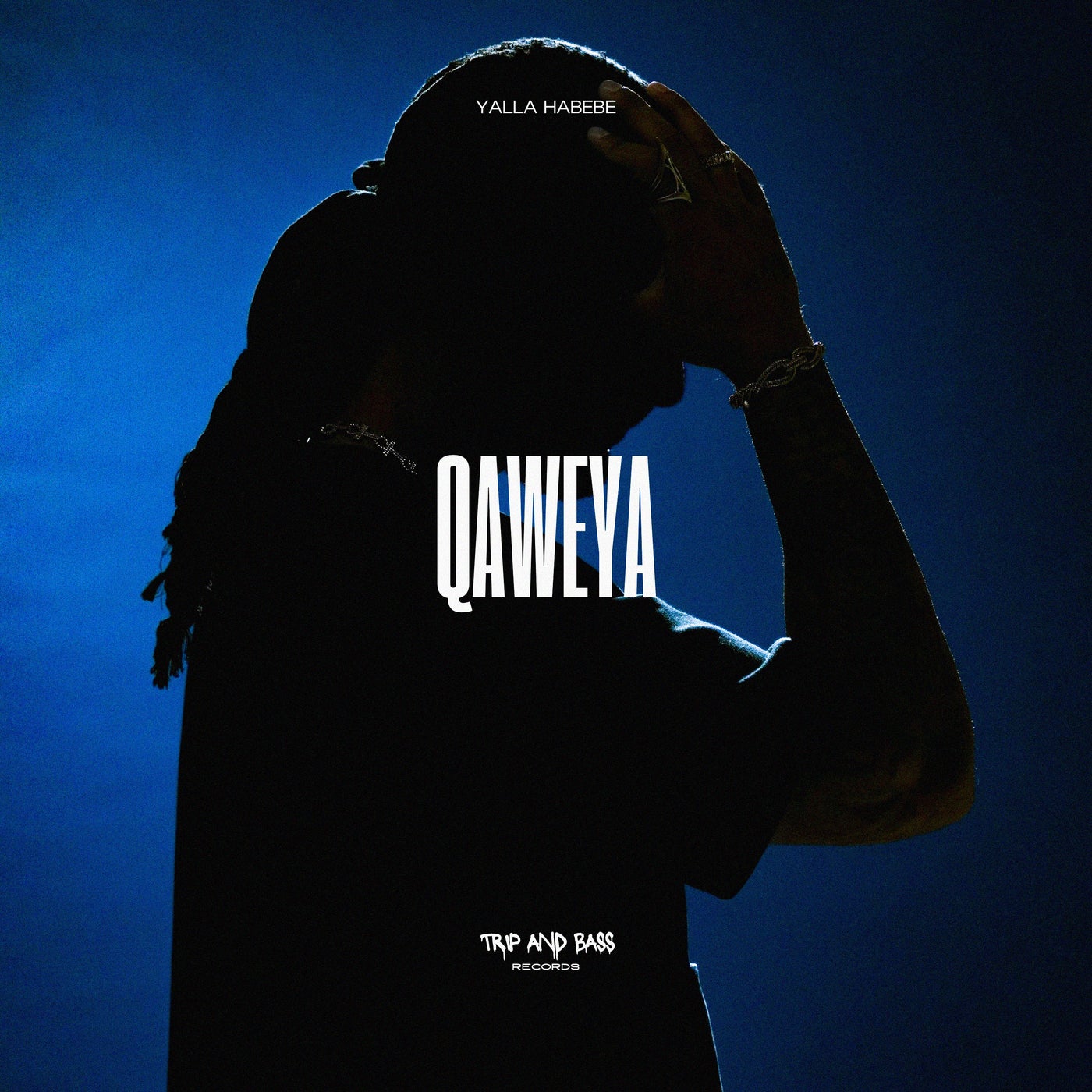 Cover - Yalla Habebe - Qaweya (Extended Mix) Promo tools