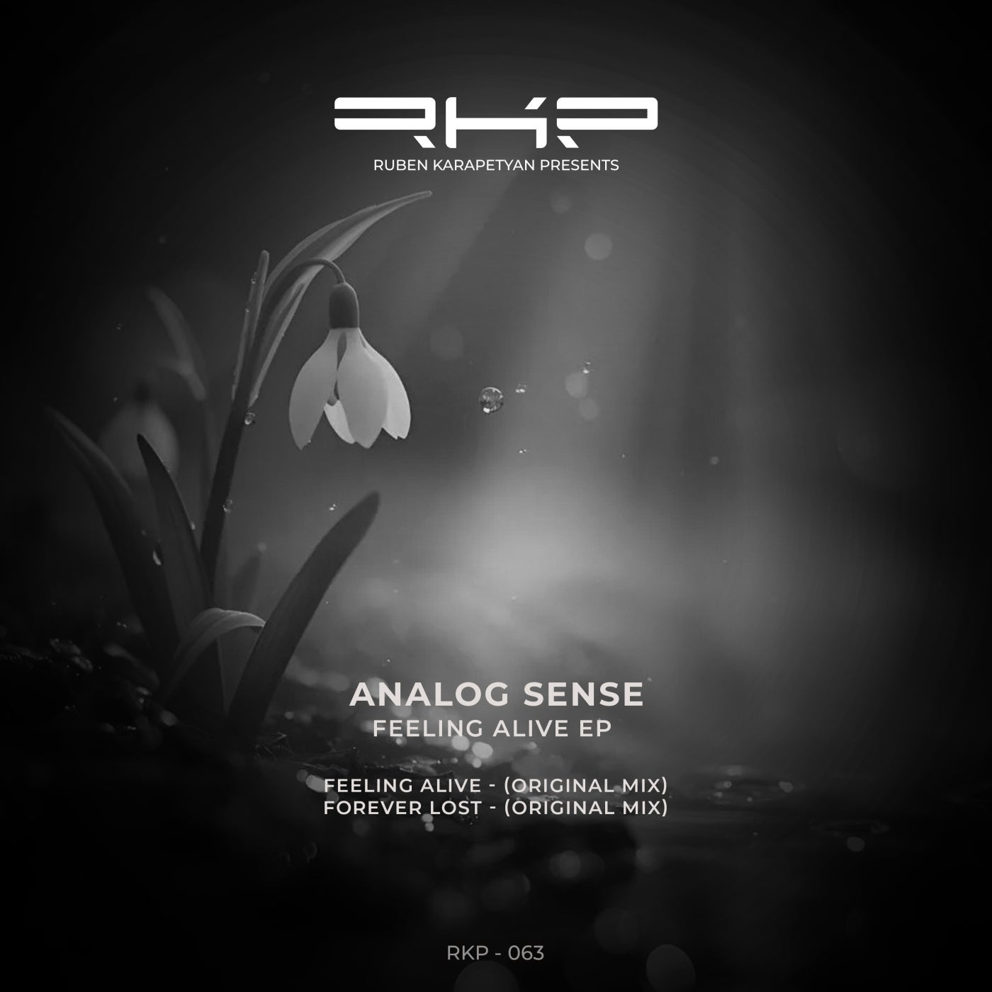 Cover - Analog Sense - Feeling Alive (Original Mix) Promo tools