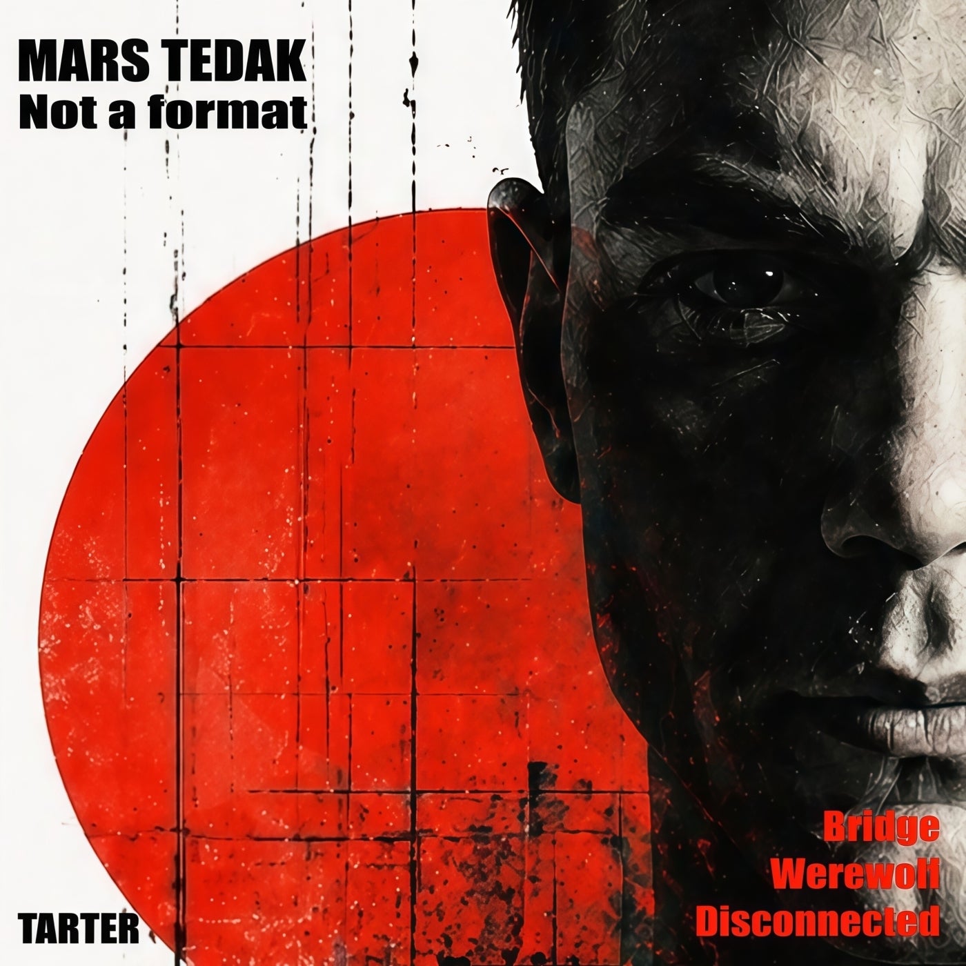 Cover - Mars Tedak - Werewolf (Original Mix) Promo tools